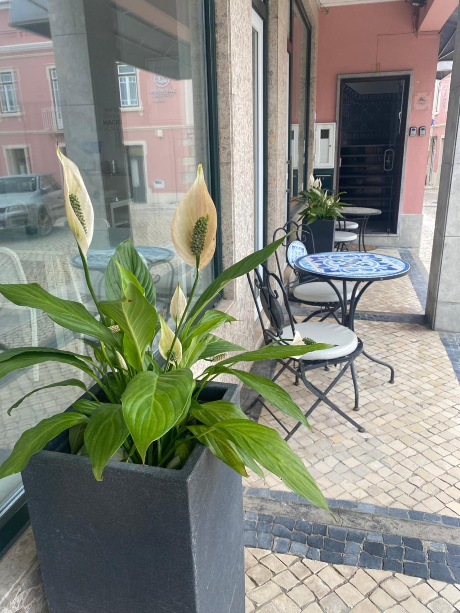 Best Portugal Bed & Breakfast Peniche