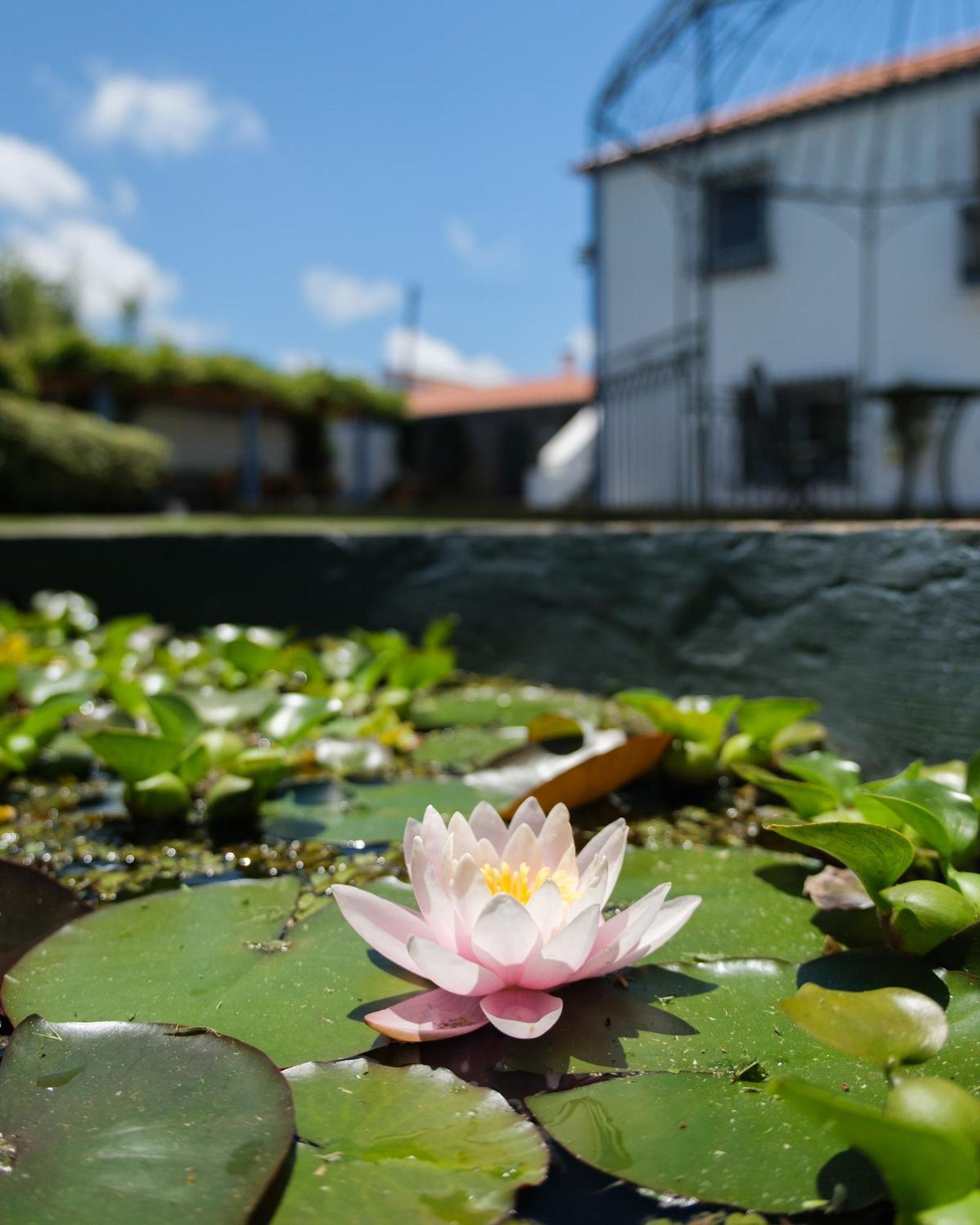 Apartamento Quinta Morazes