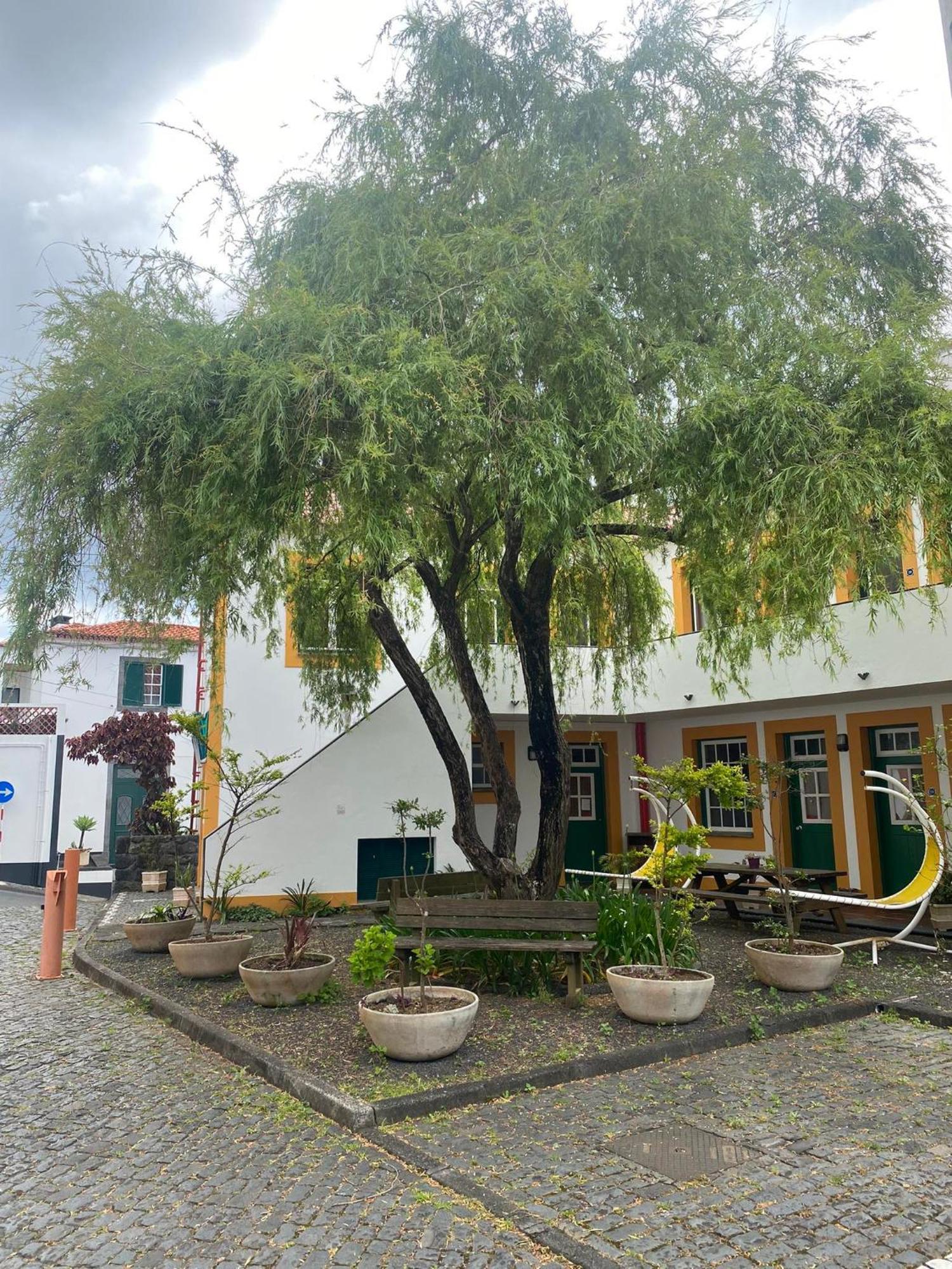 Verdemar