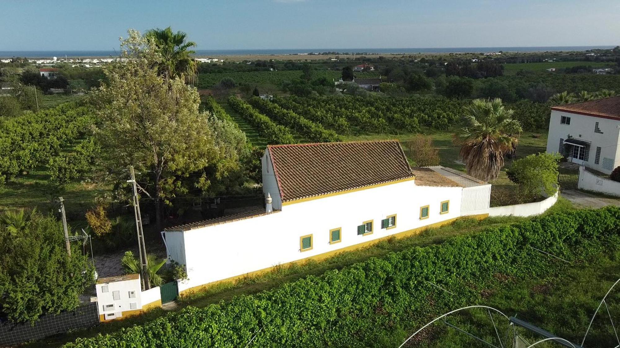 Quinta Rosa Branca Guest house *