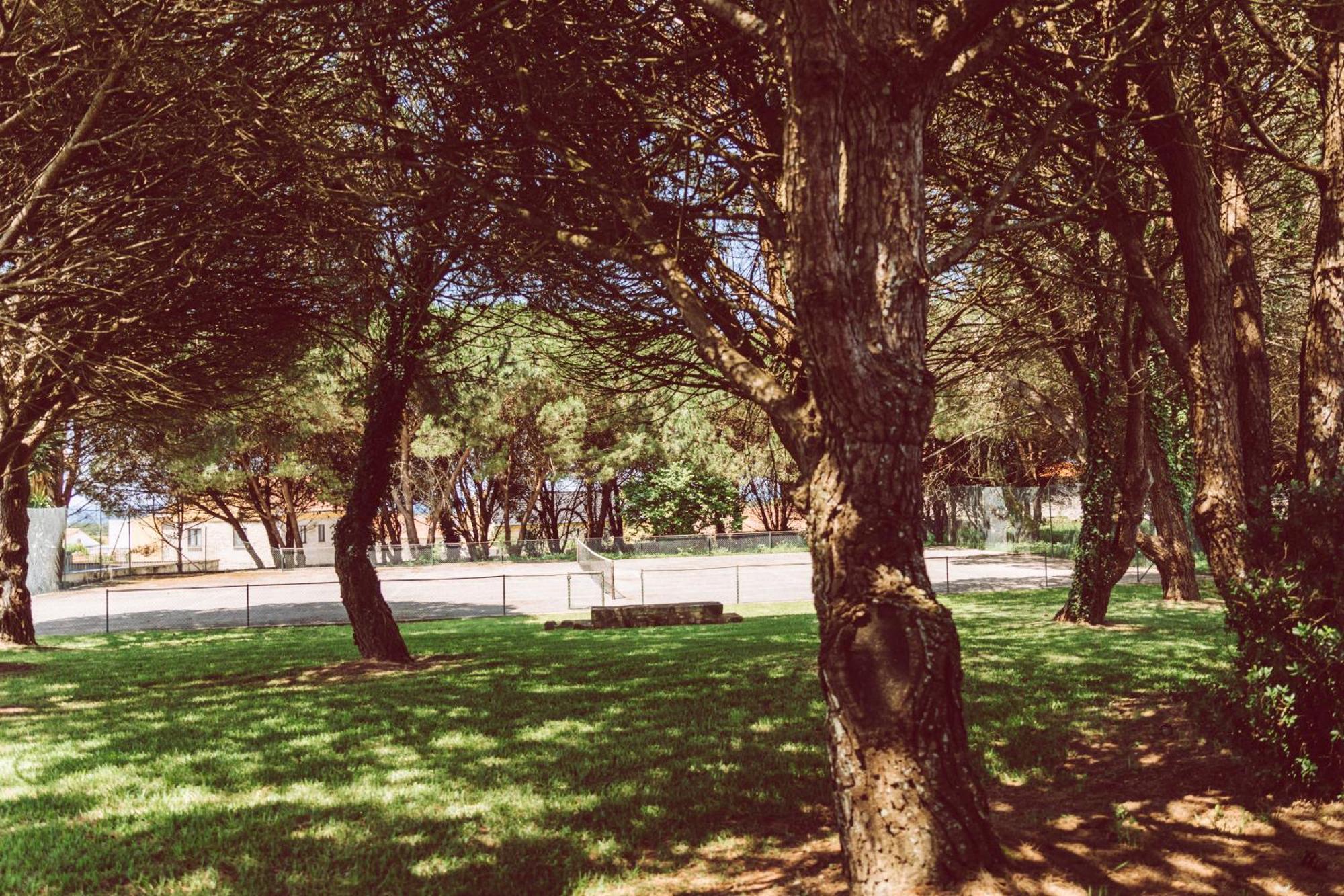 Quinta Do Monteverde Country house
