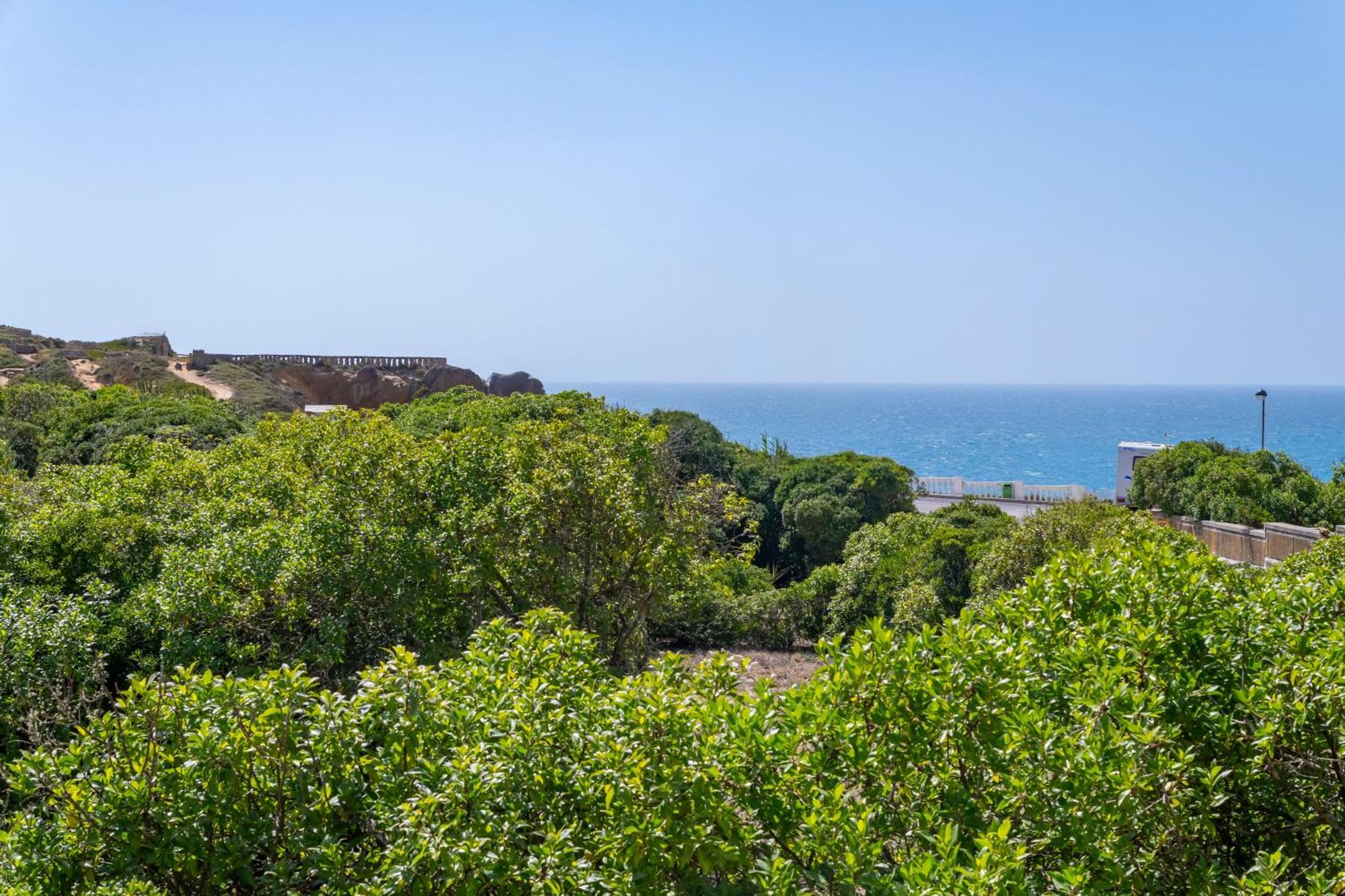 Apartment Close To The Sea, To Lisbon And To Your Heart