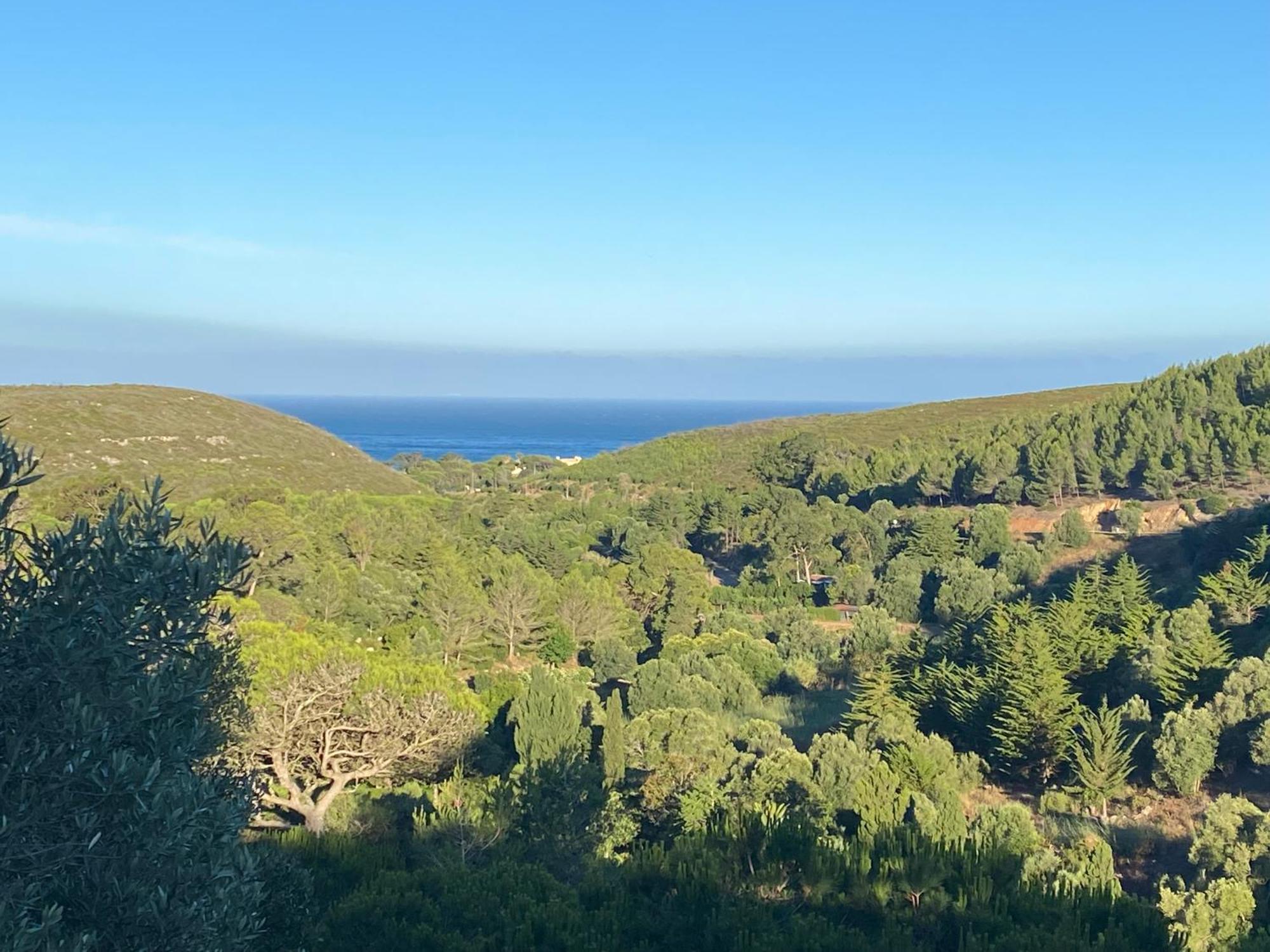 Amazigh Guincho & *