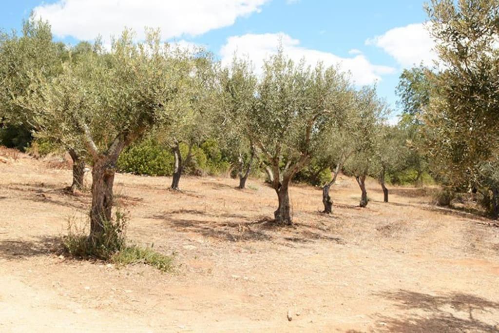 Quinta Do Coelhoazul * Quelfes