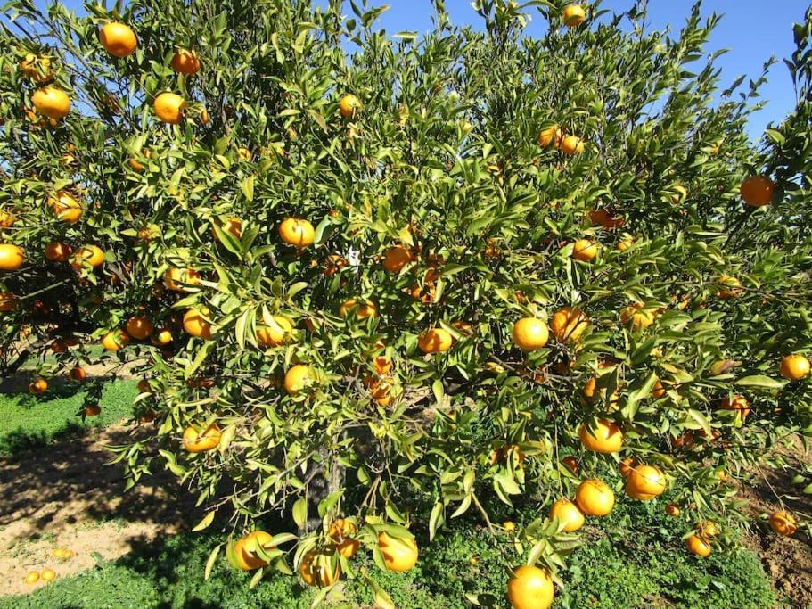 Quinta Do Coelhoazul Сasa de vacaciones