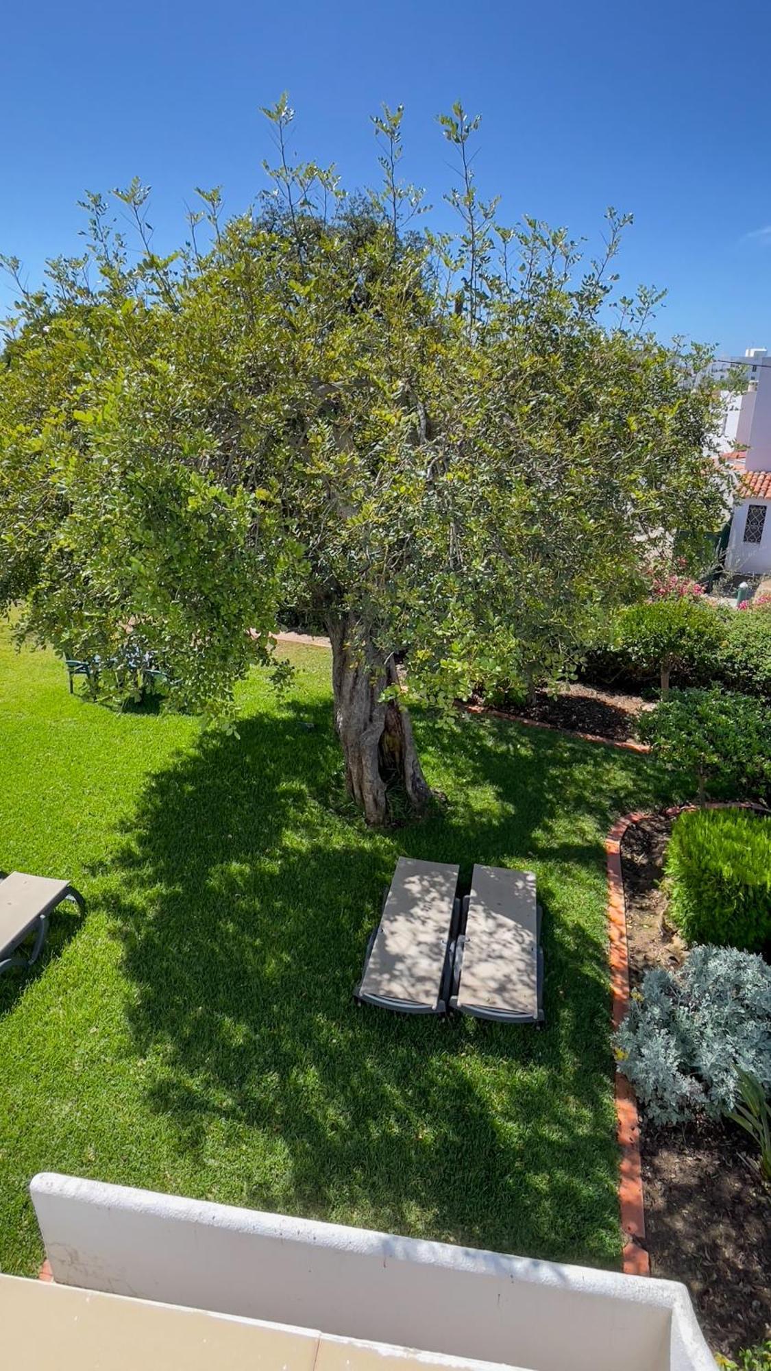 Campo de férias Pino Vilamoura