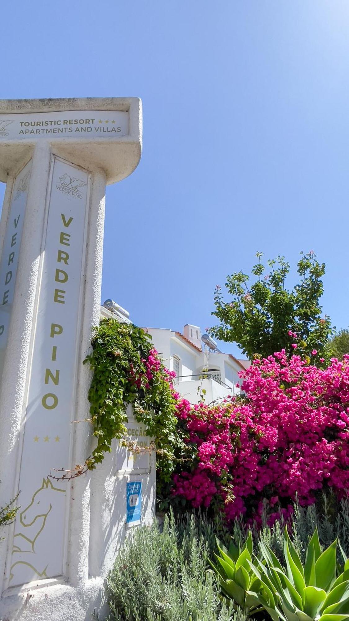 Pino Vilamoura