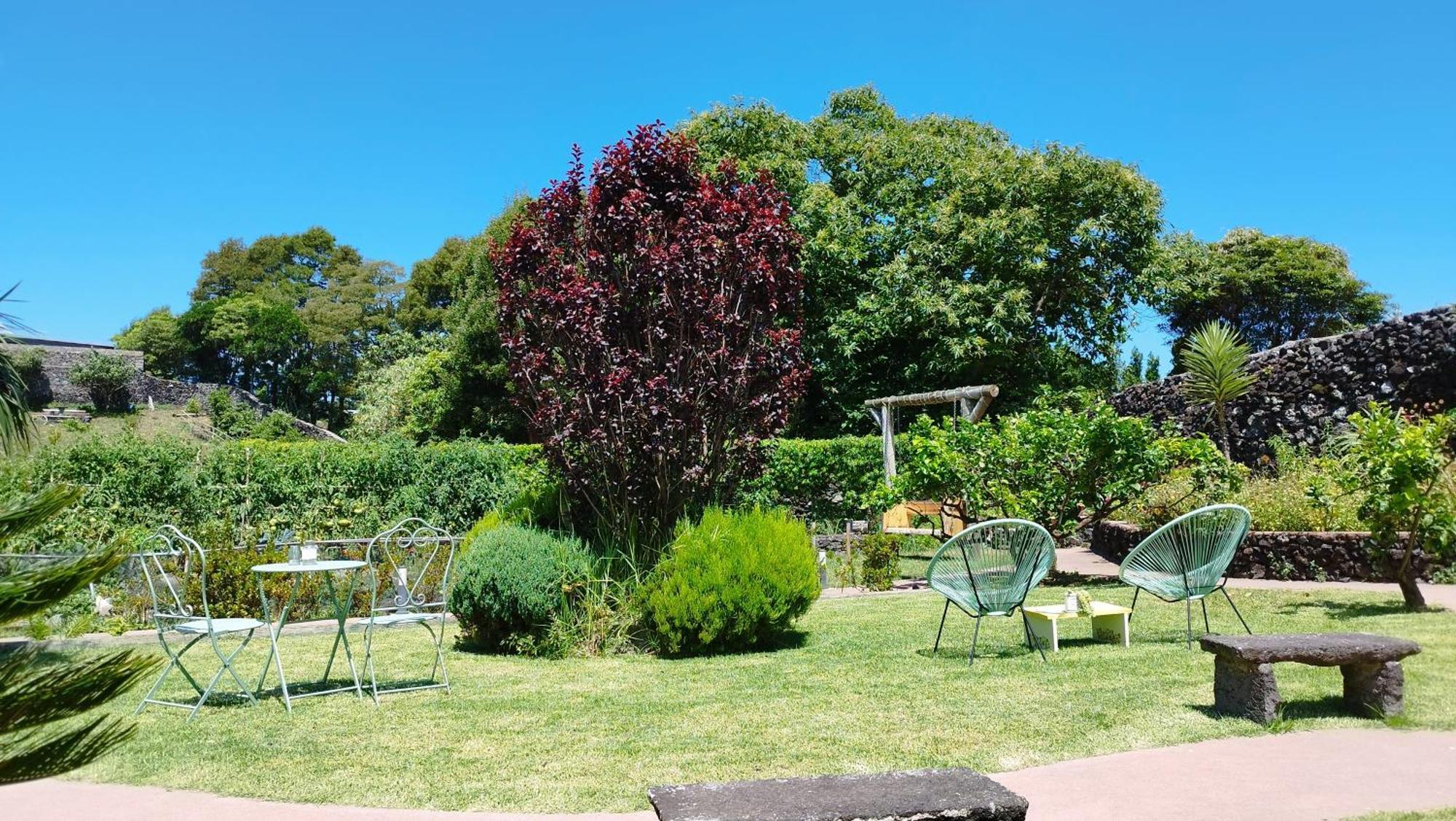 Quinta Dos Sentidos , Rustic Holiday Houses In Sao Vicente Ferreira Holiday home *