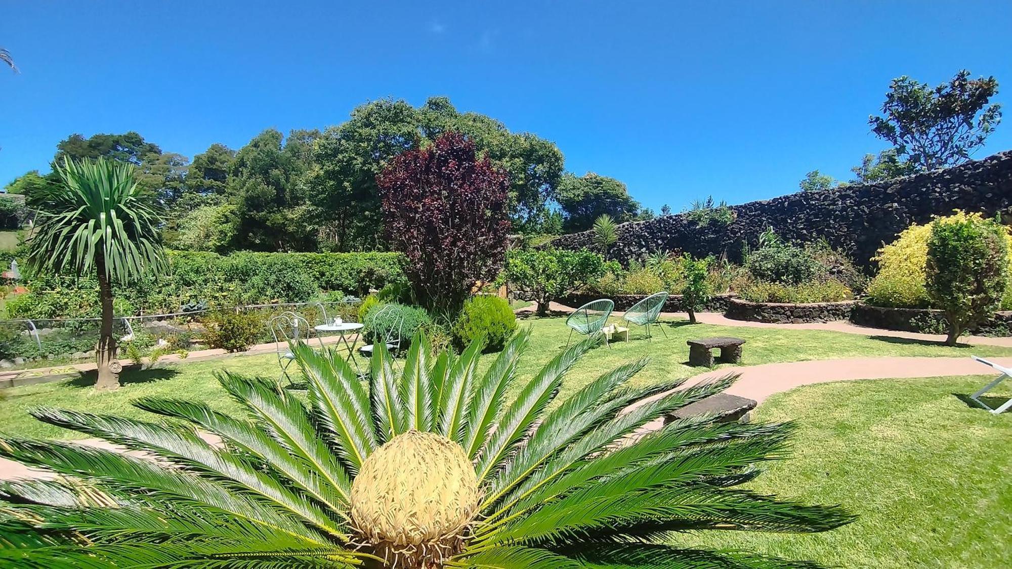 Quinta Dos Sentidos , Rustic In * São Vicente Ferreira