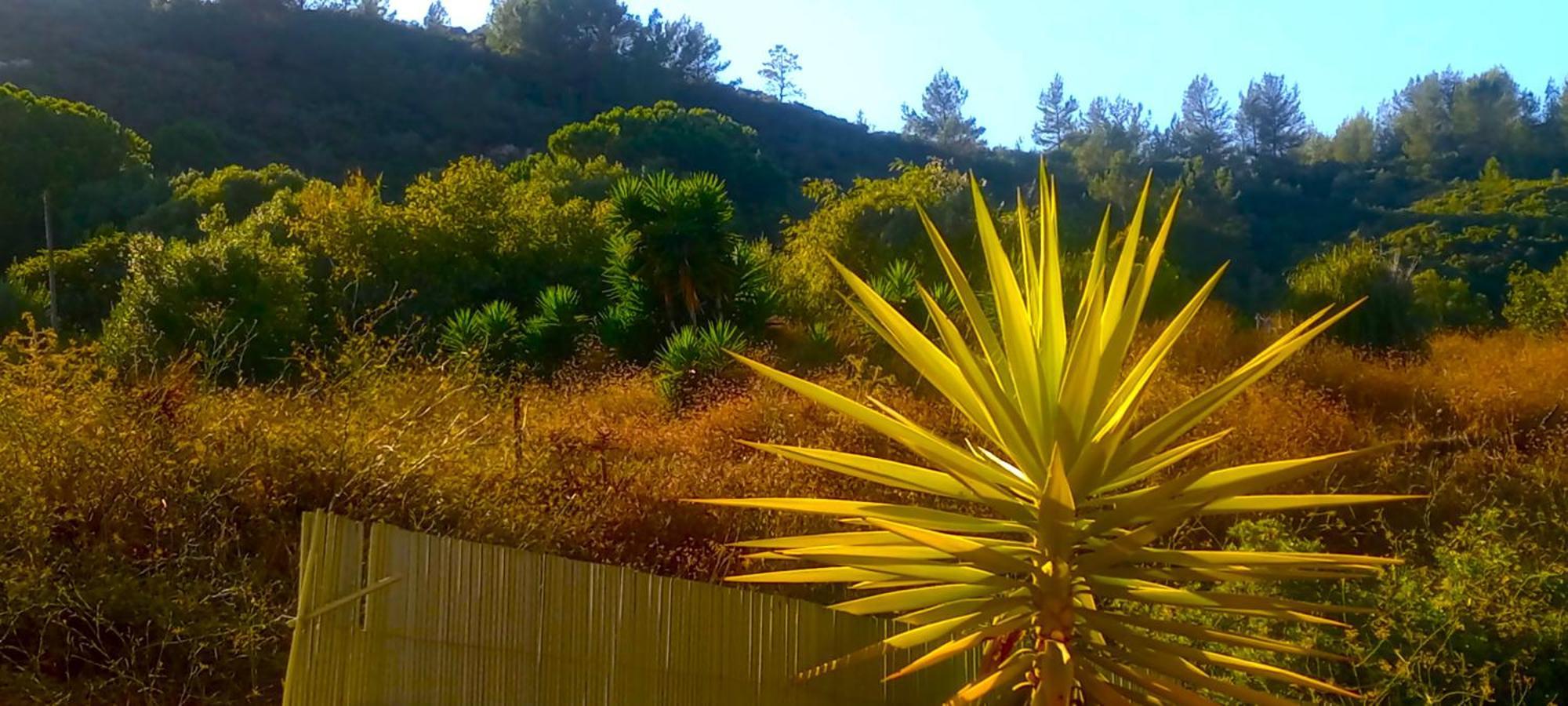 Holiday home Oceanview Duplex Shared Pool &
