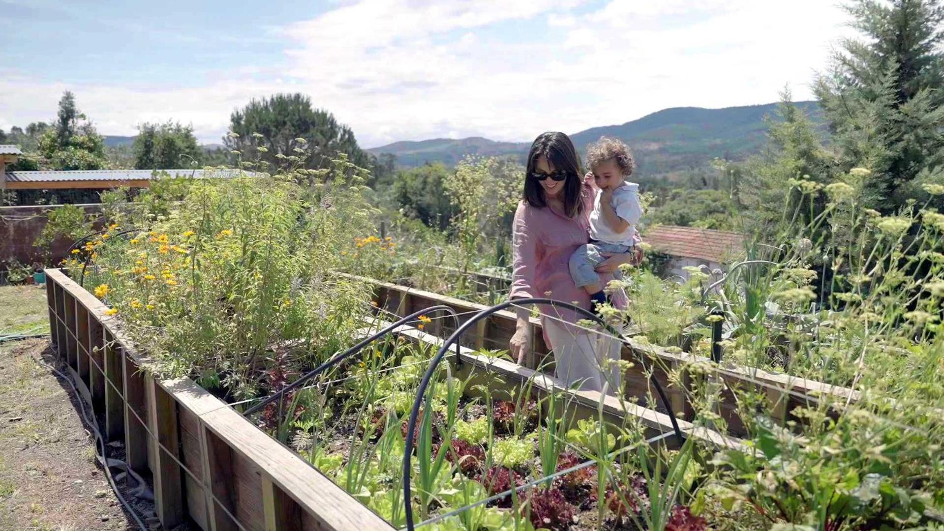 Natura Natura Farm stay *