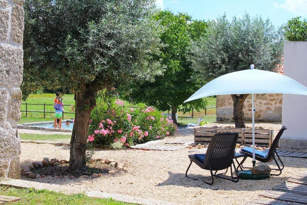 Farm stay Quinta Vale Da Prata Celorico Da Beira