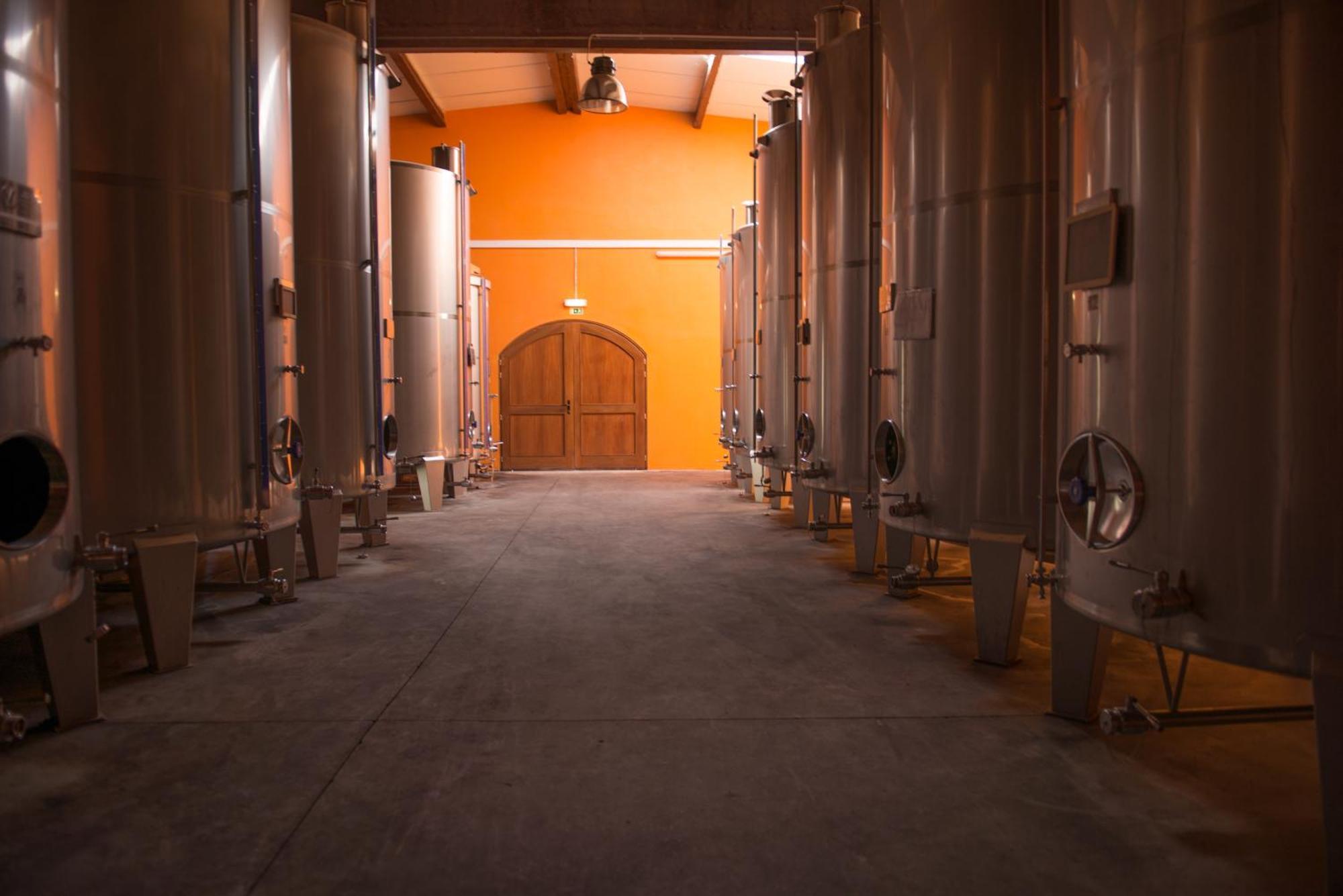 Tranca Da Barriga - Casa Do Vinho By Quinta De Sao Tiago