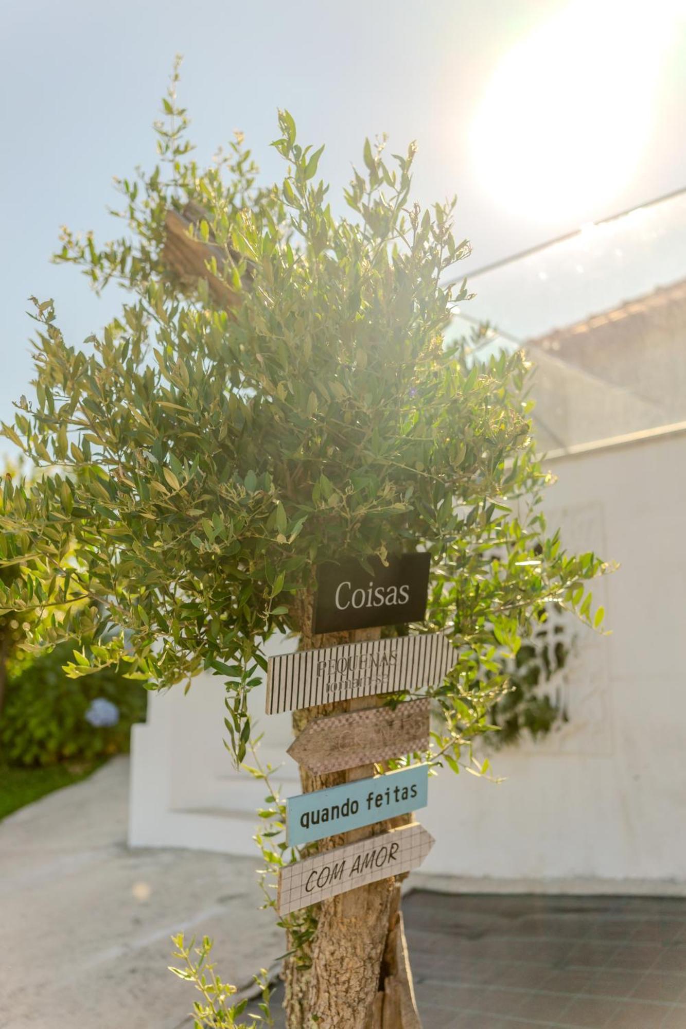 Agroturismo Paradise Farm With Pool And Jacuzzi In Douro Santa Cruz do Douro