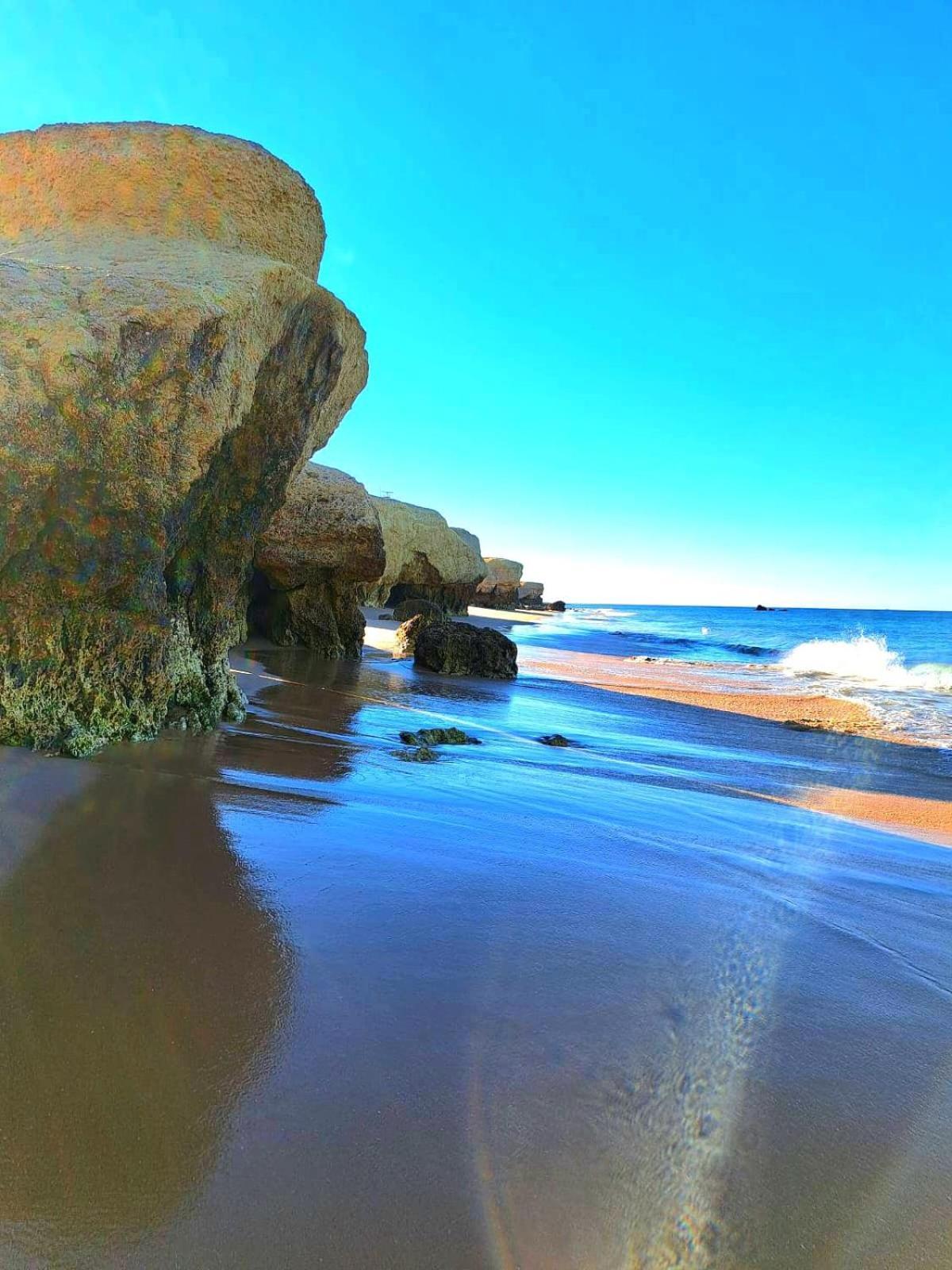 White T1 - Ocean View Apartamento Albufeira