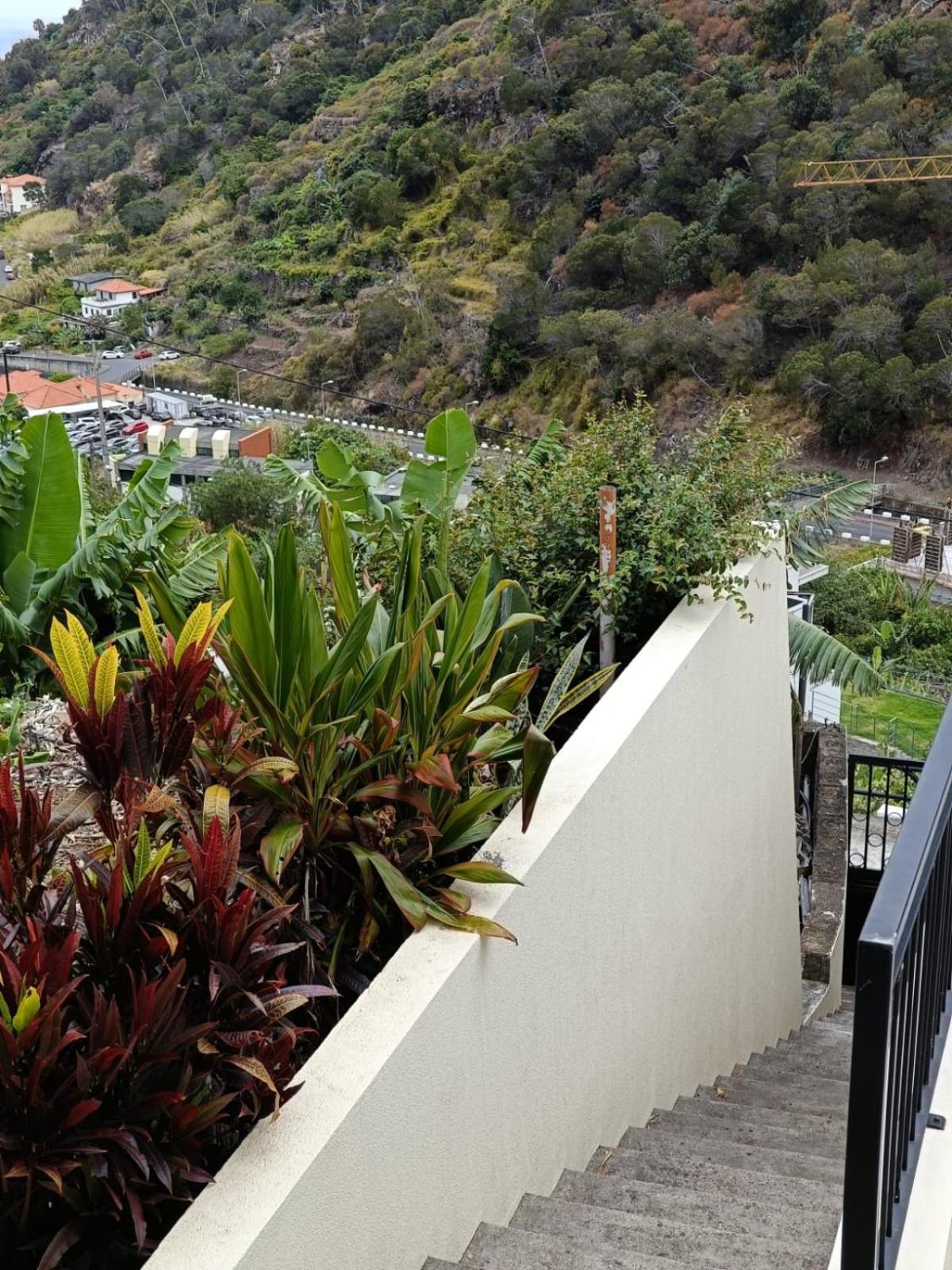 Ribeira Roots Santa Cruz (Madeira)