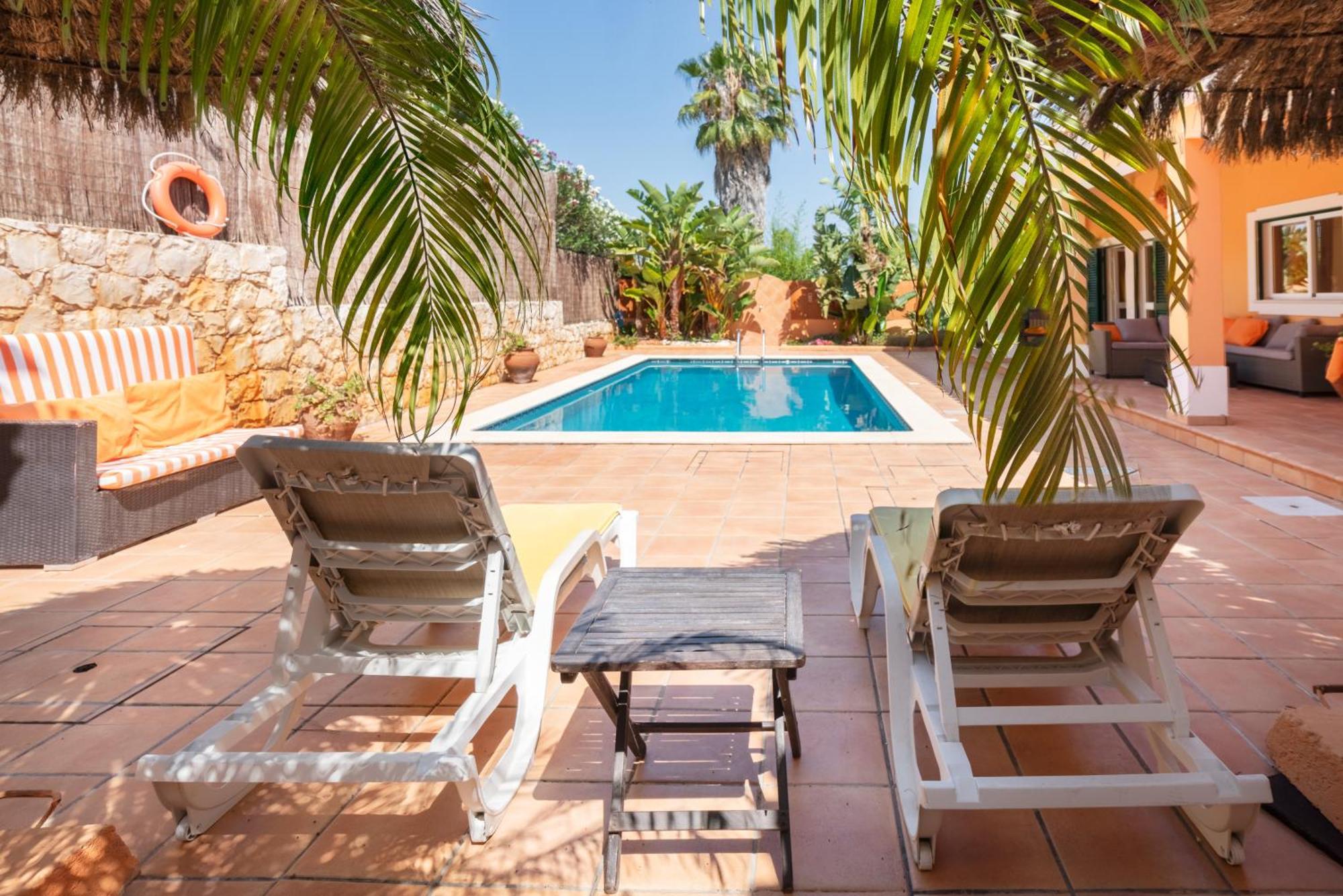 Orange Tree In Villa