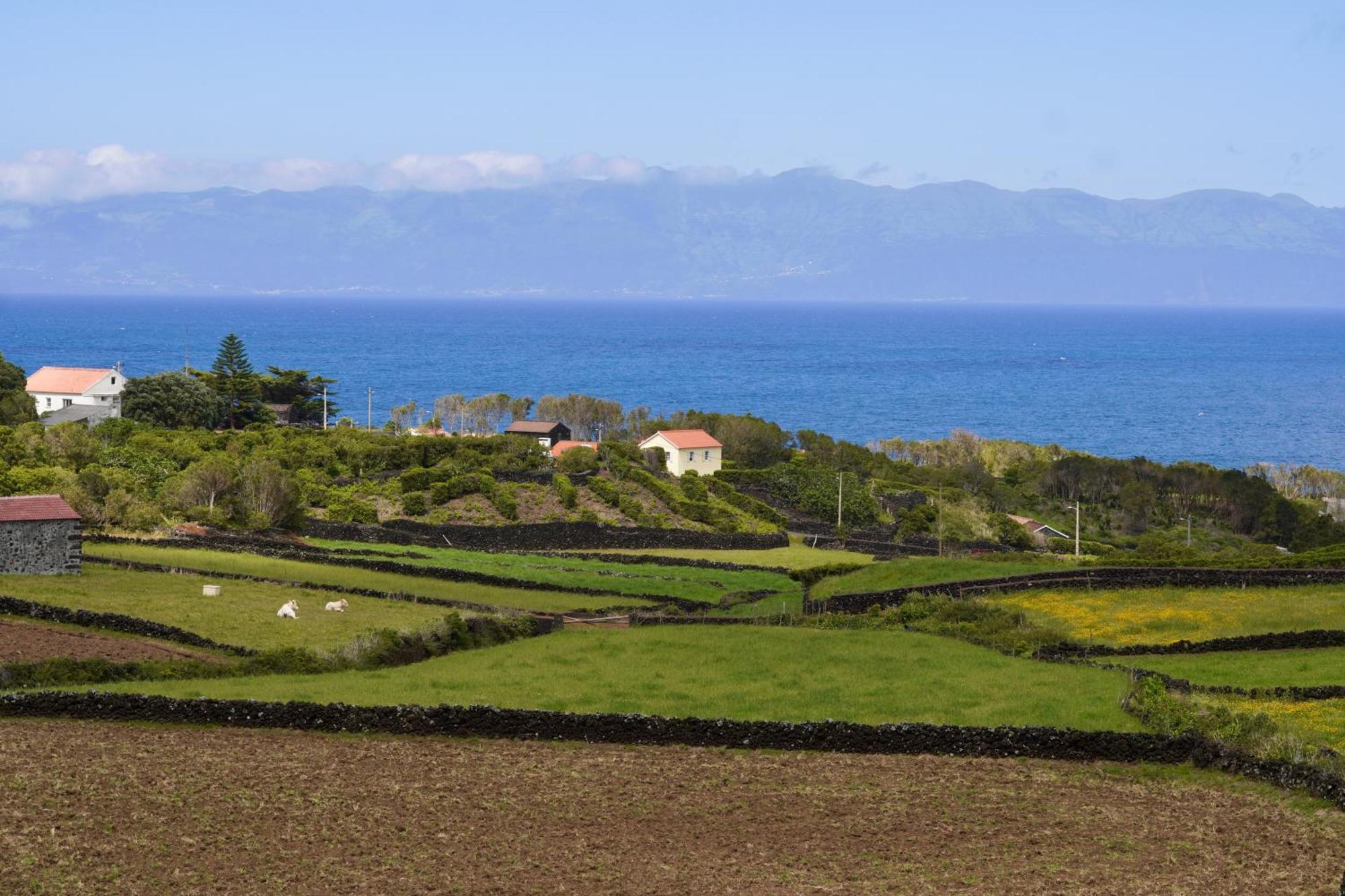 Holiday home Casas Da Prainha B *