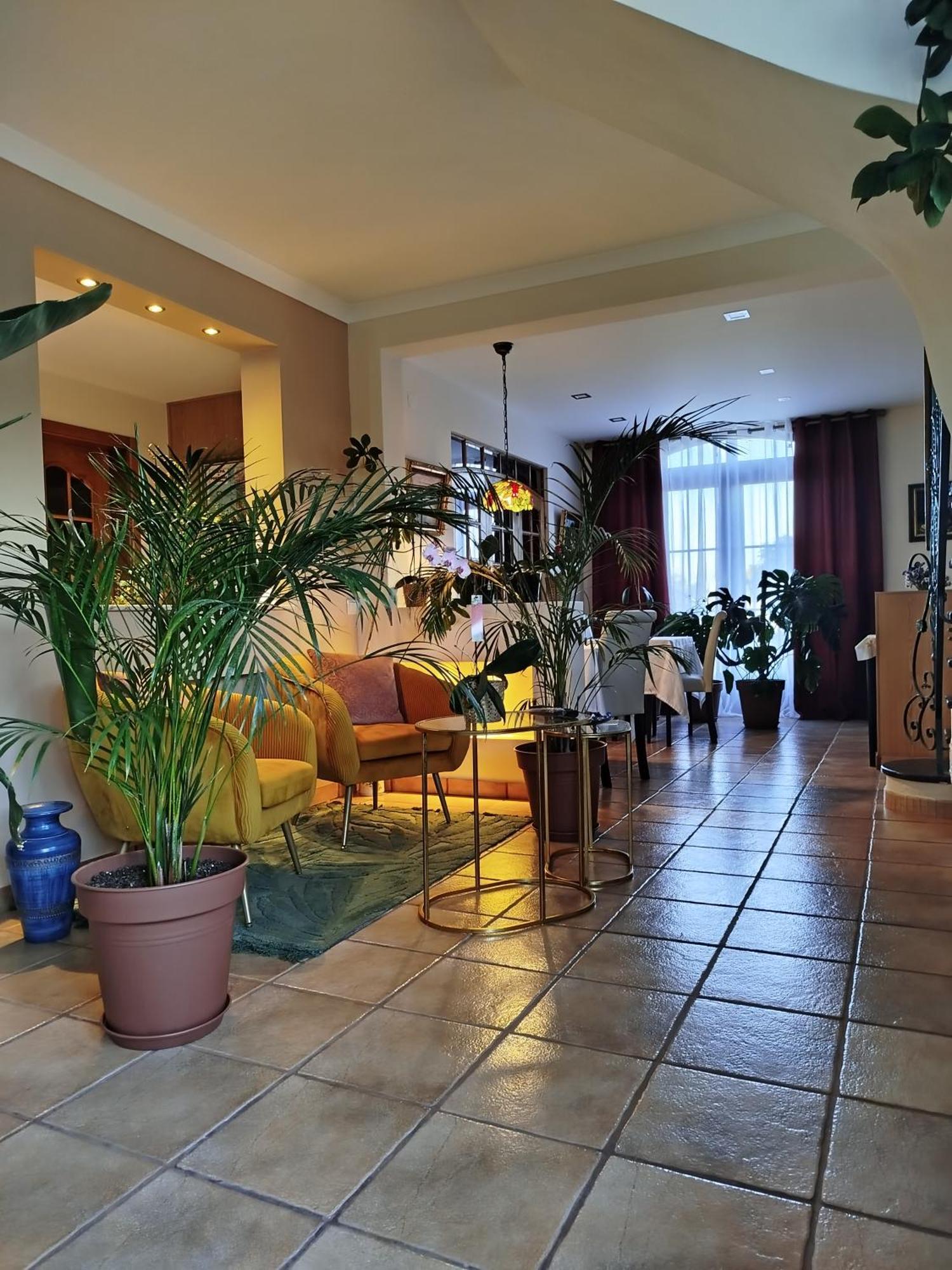 Elodie's Country House - Alojamento Local Grandola