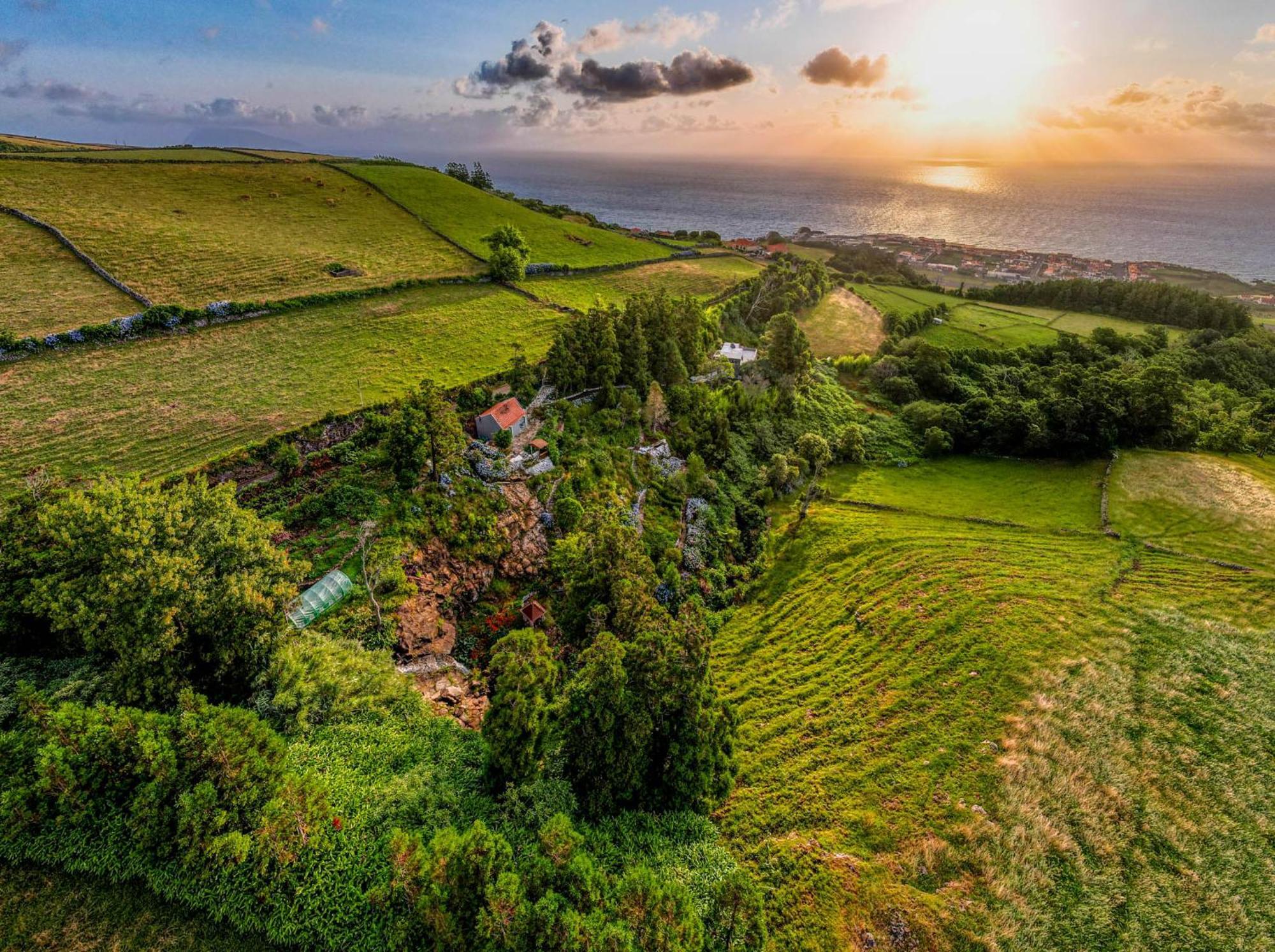 Flores Garden Retreat Holiday home Santa Cruz das Flores