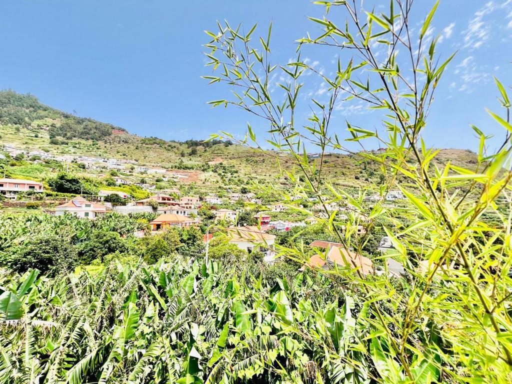 Casa Amoreiras By Ymr Arco da Calheta (Madeira)