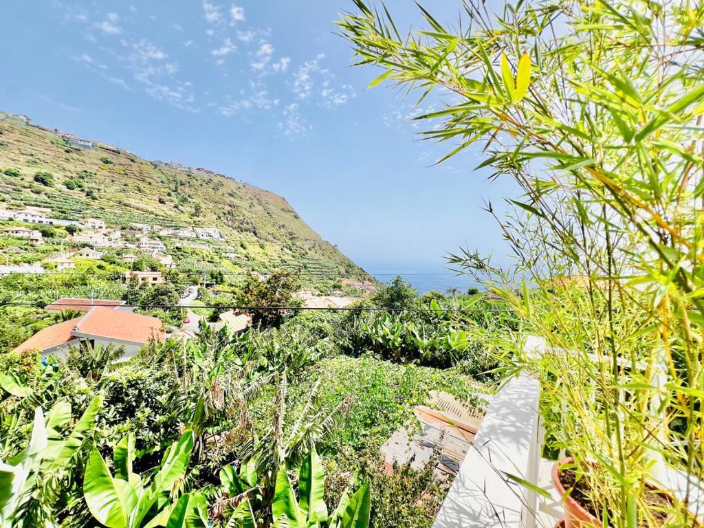 Casa Amoreiras By Ymr Arco da Calheta (Madeira)