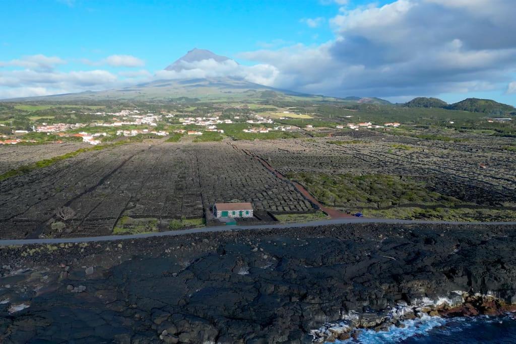 Villa Pico Island Madalena (Azores)