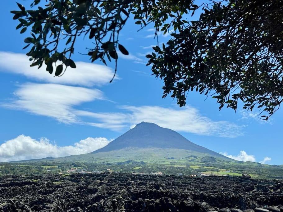 Pico Island Villa