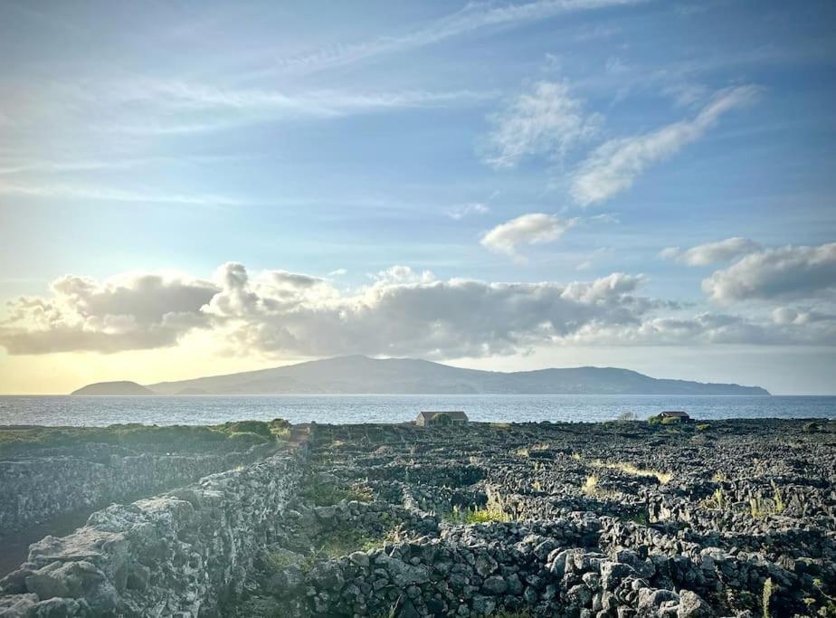 Villa Pico Island