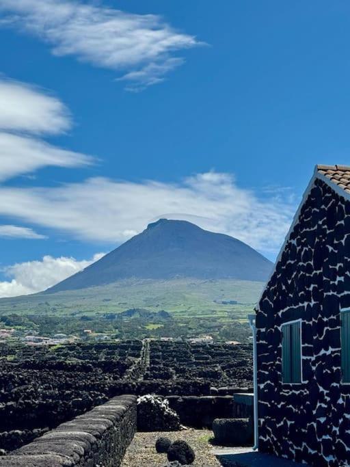 Villa Pico Island