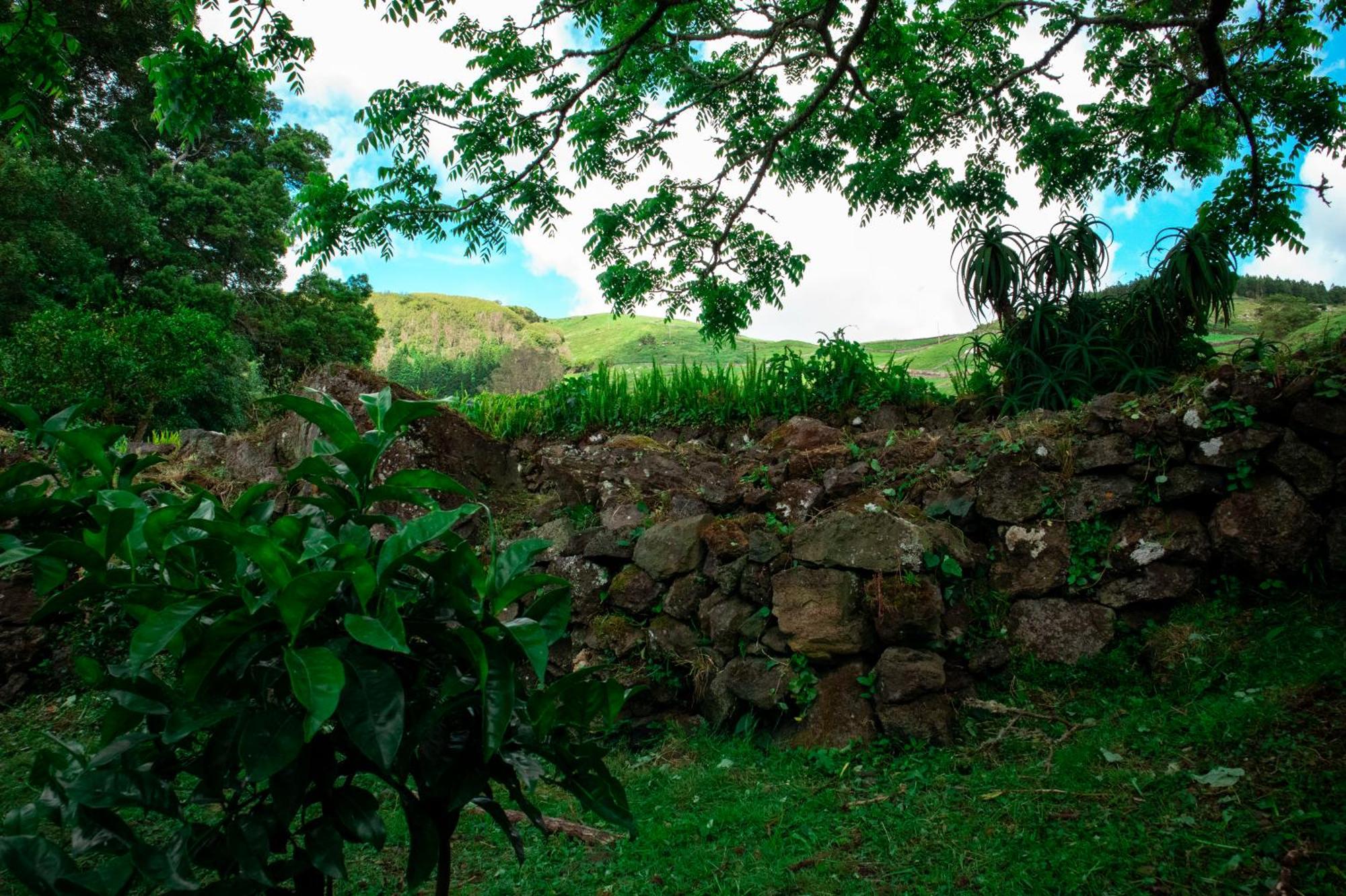 Franco Da Serra Farm stay Angra do Heroismo