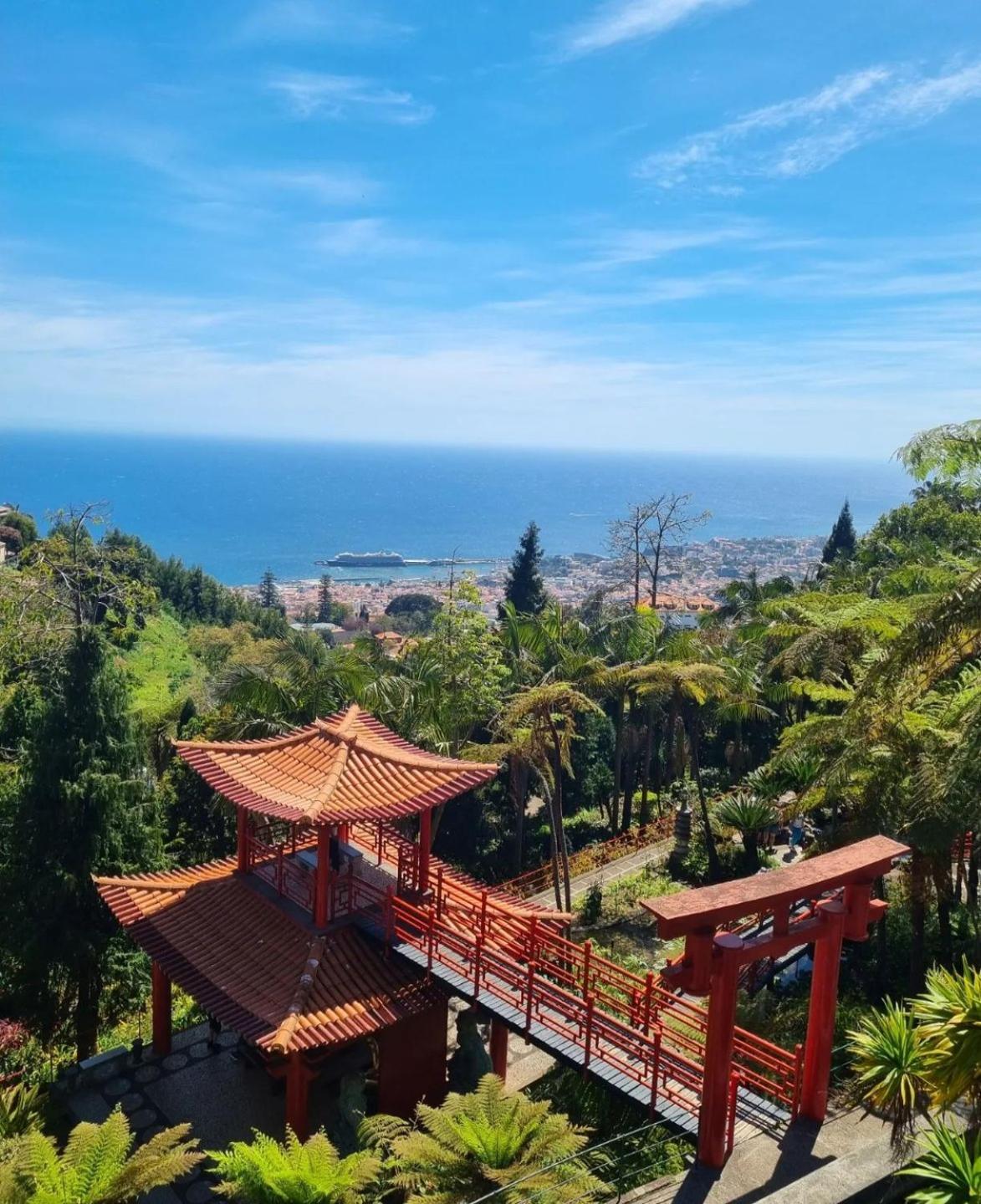 Icamper One Luxury tent Ribeira Brava