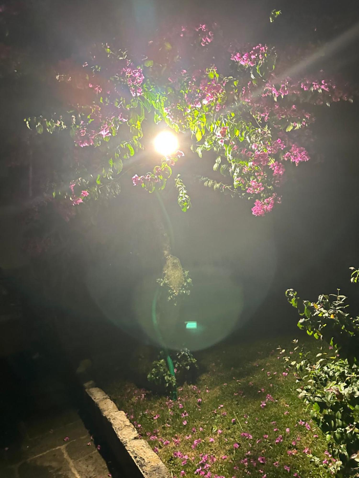 Solar Nossa Senhora Da Conceicao Сasa de vacaciones