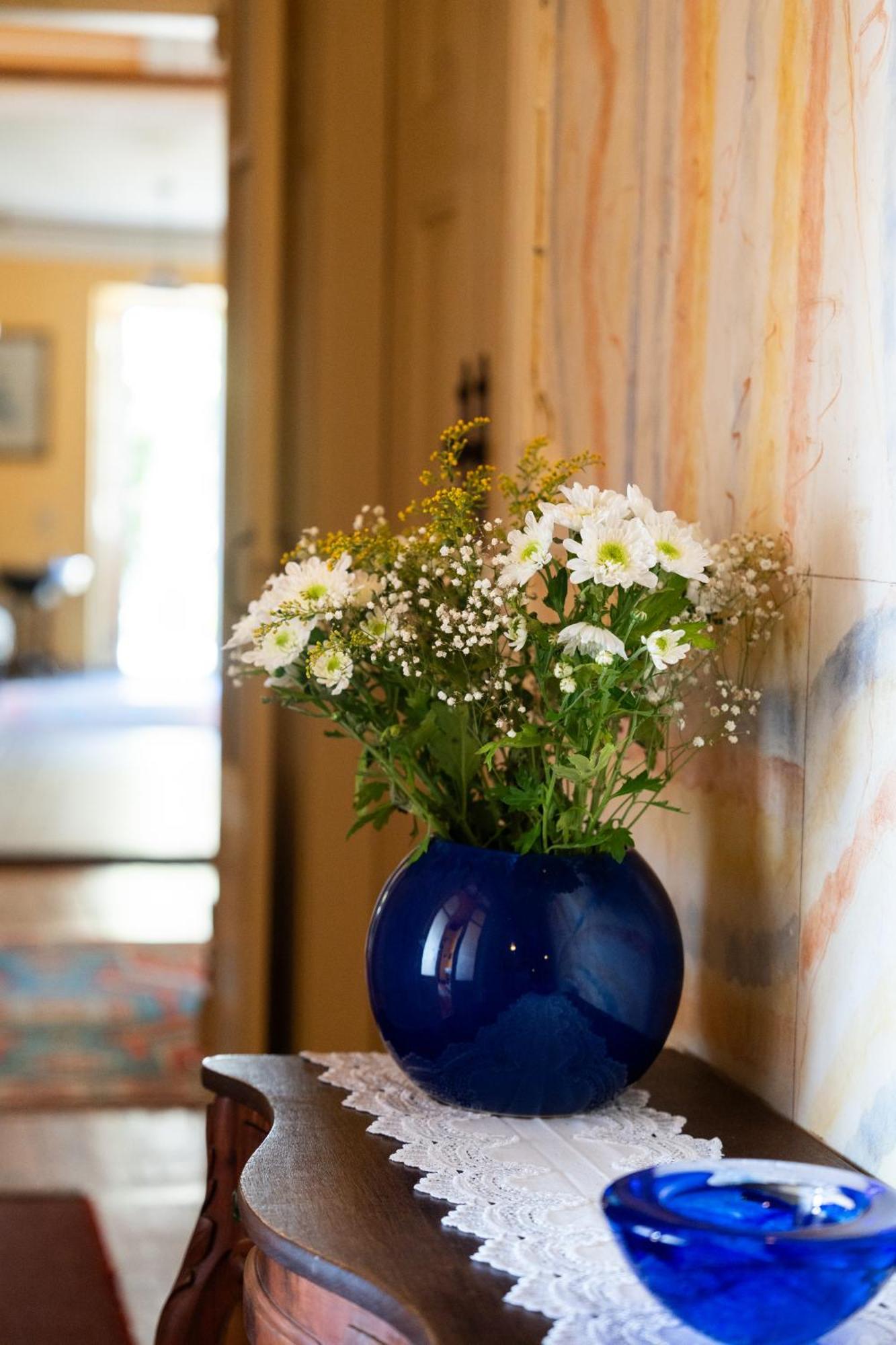 Farm stay Casa D' Alem *