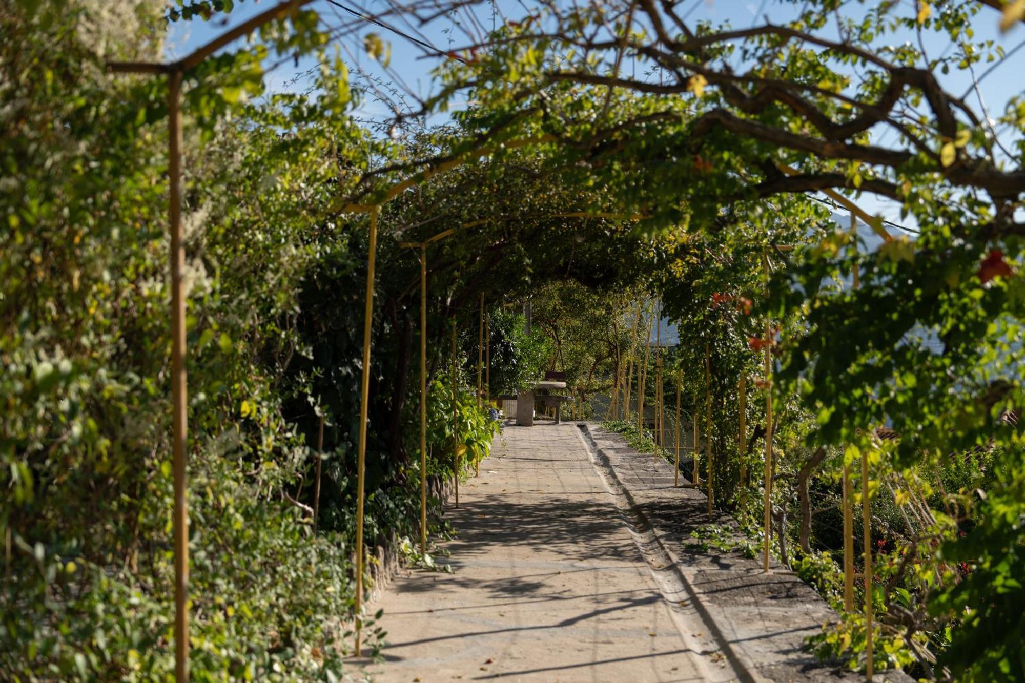 Casa D' Alem Farm stay