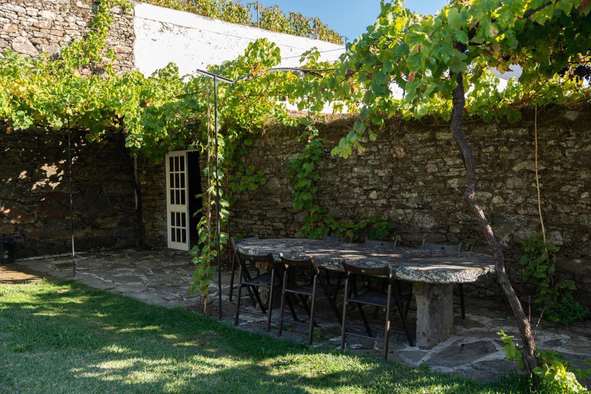 Farm stay Casa D' Alem Mesao Frio