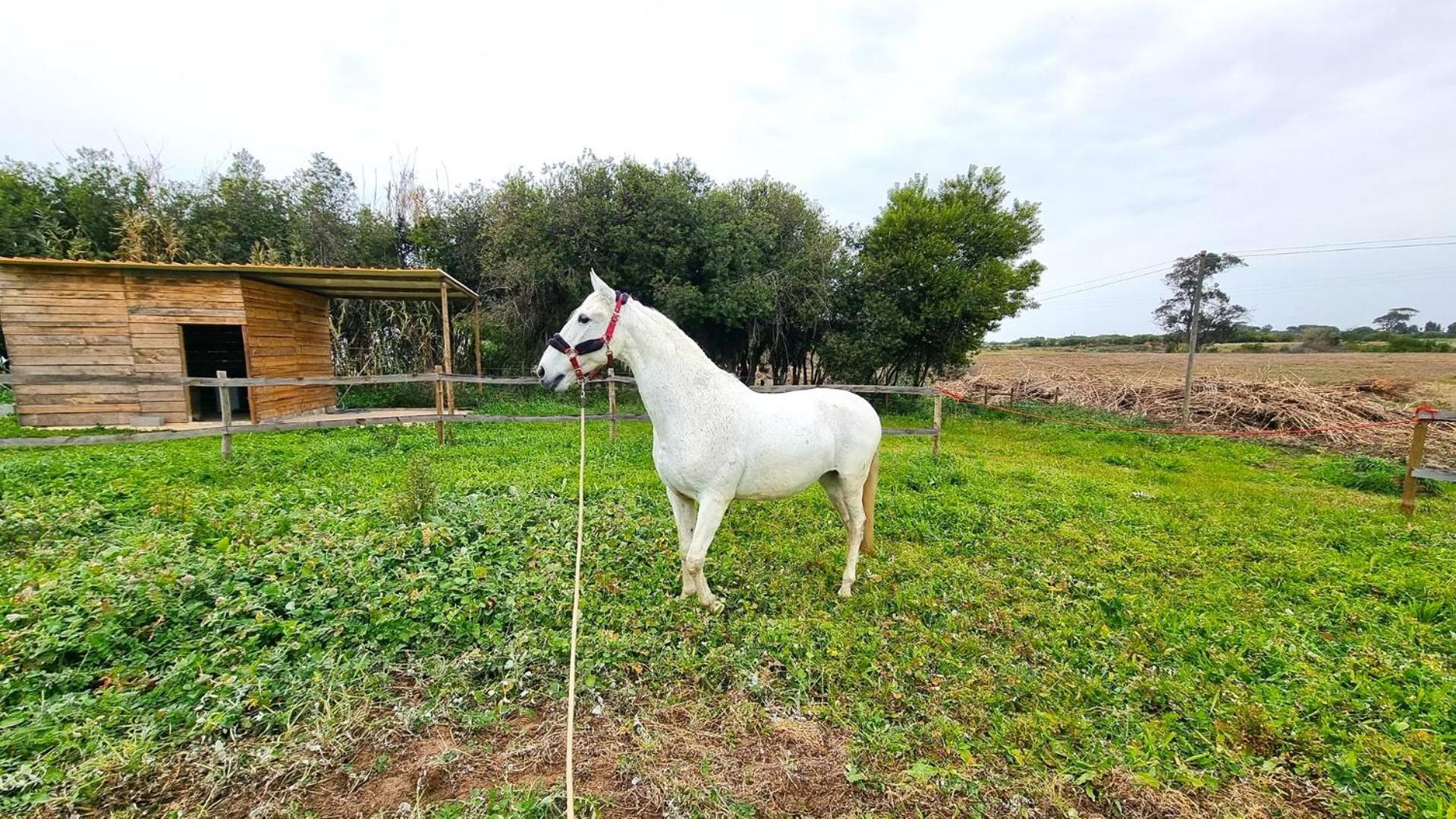 Herdade Moita Mar - Country & Sea Hotel 3*
