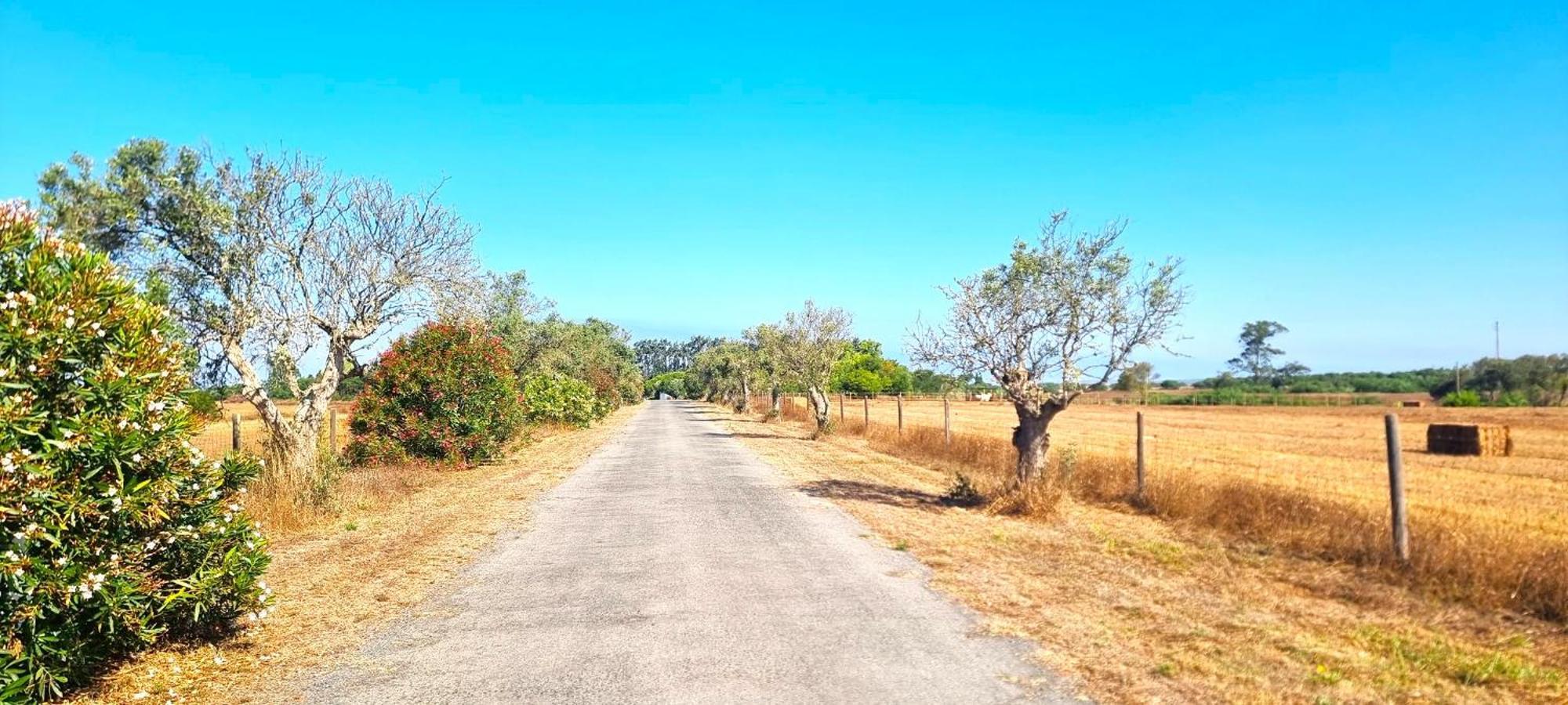 Herdade Moita Mar - Country & Sea 3* Vila Nova de Milfontes