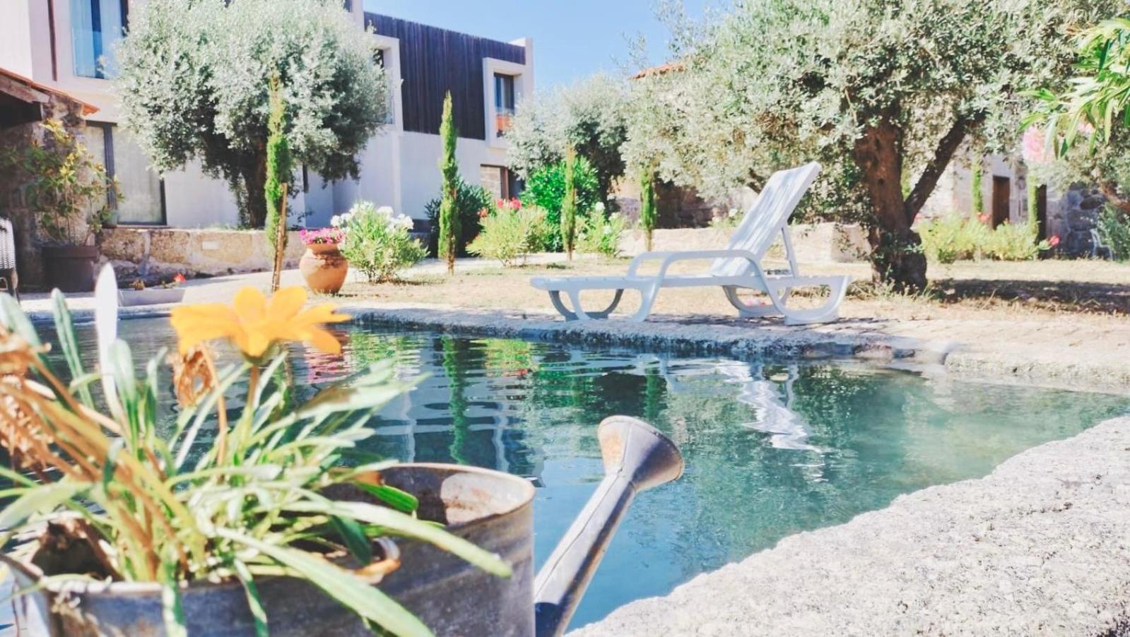 Farm stay Quinta Vale Da Prata Celorico Da Beira