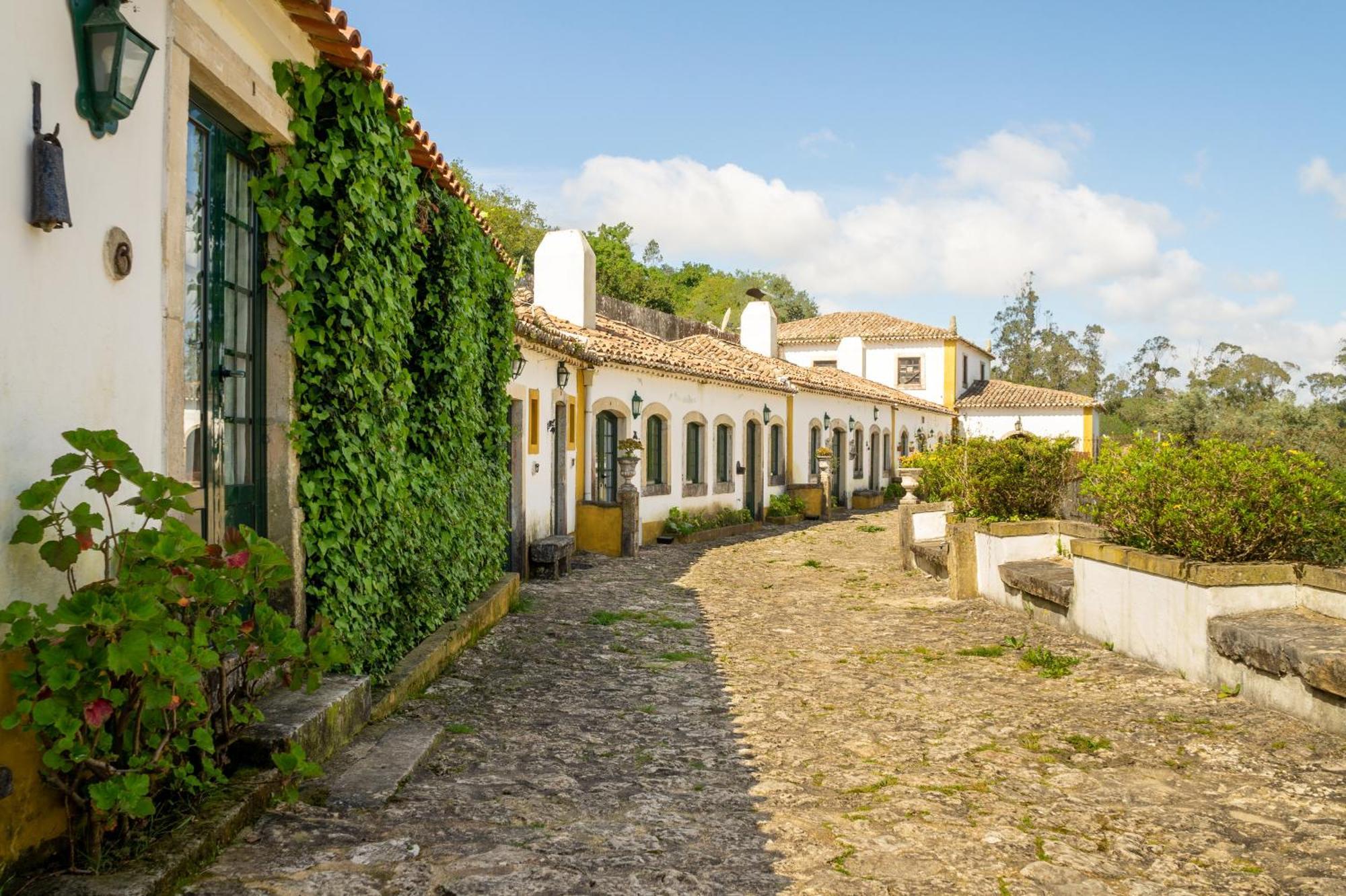 Agroturismo Quinta Do Brejo - Turismo Equestre *