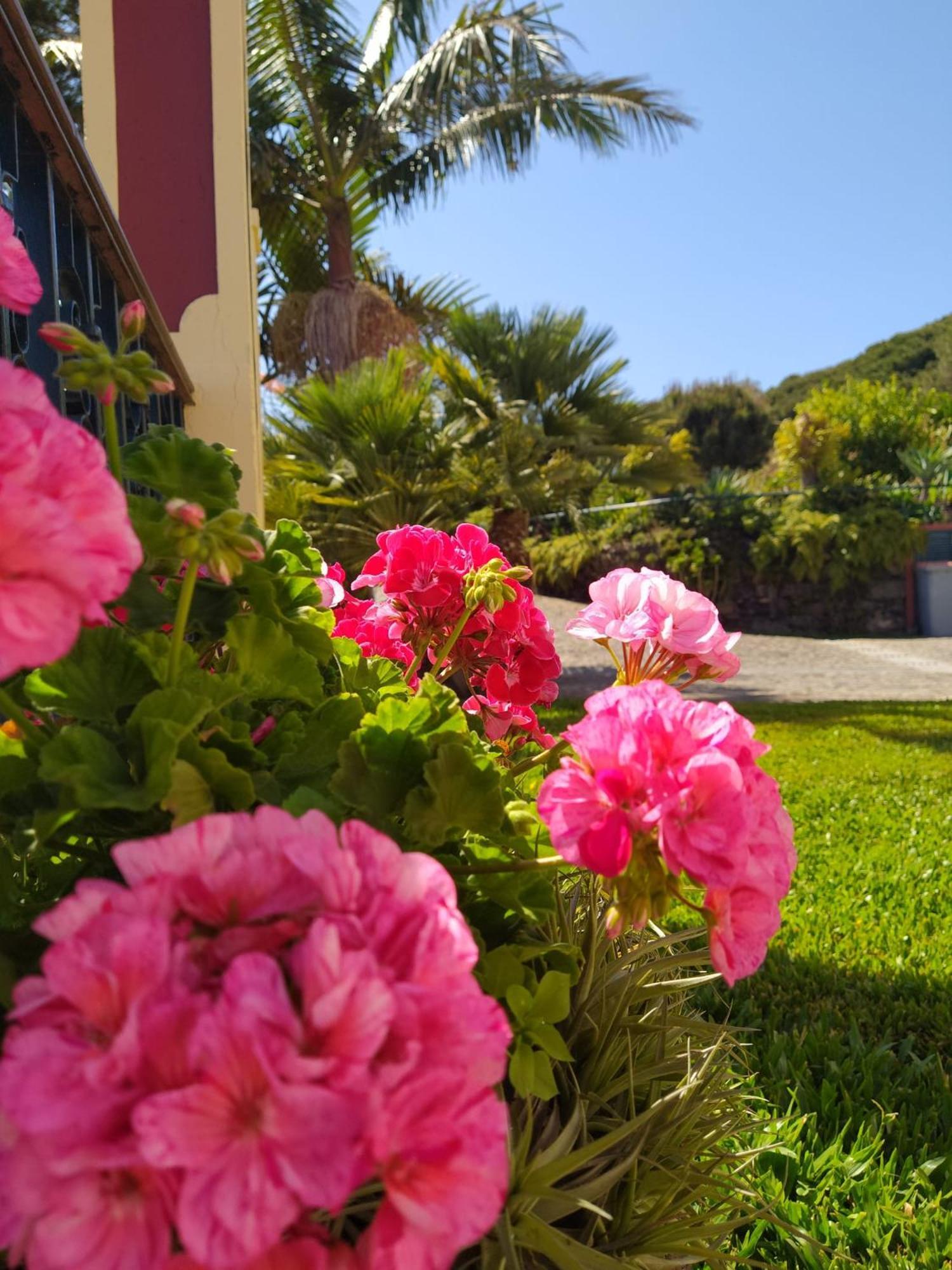 Biofuncho Garden Apartment