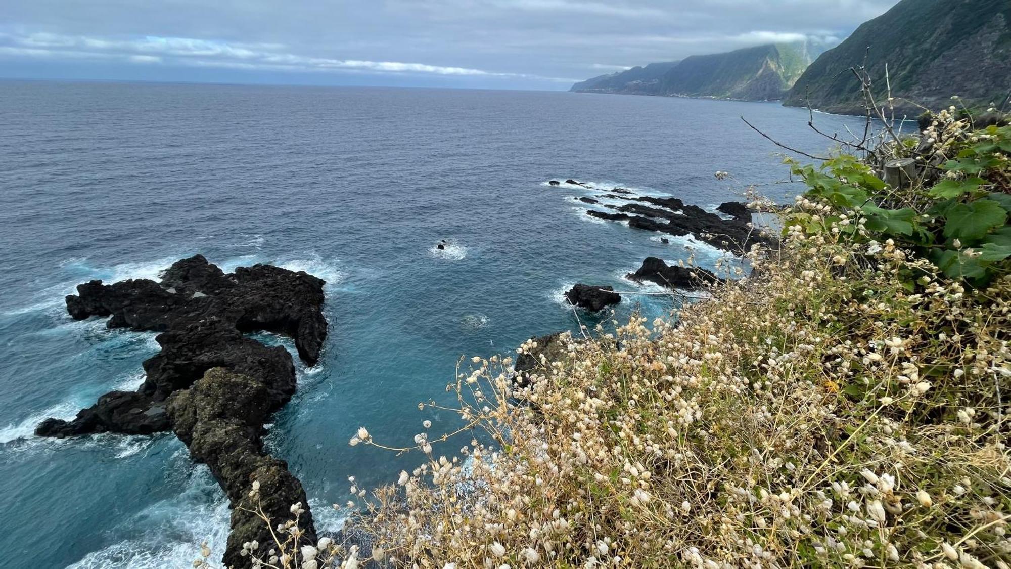 Casas Hortas, Vista Mar