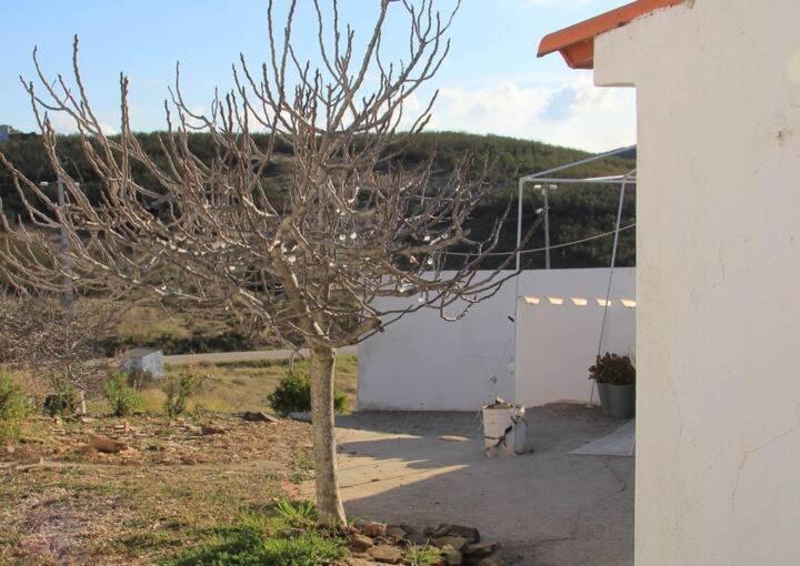 Casa Papoula Holiday home Tavira
