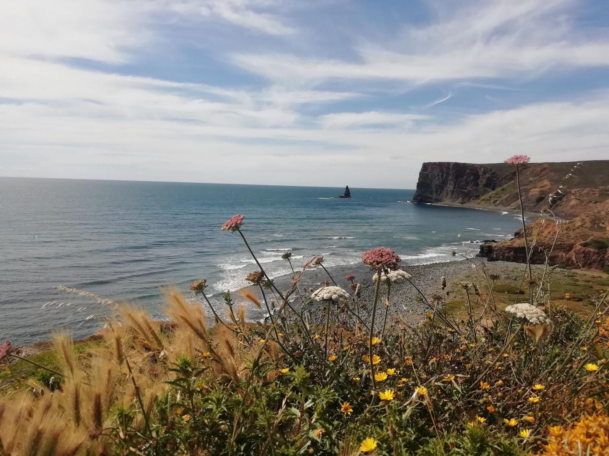 Apartamento Bela Vista_cozy With Sea View *