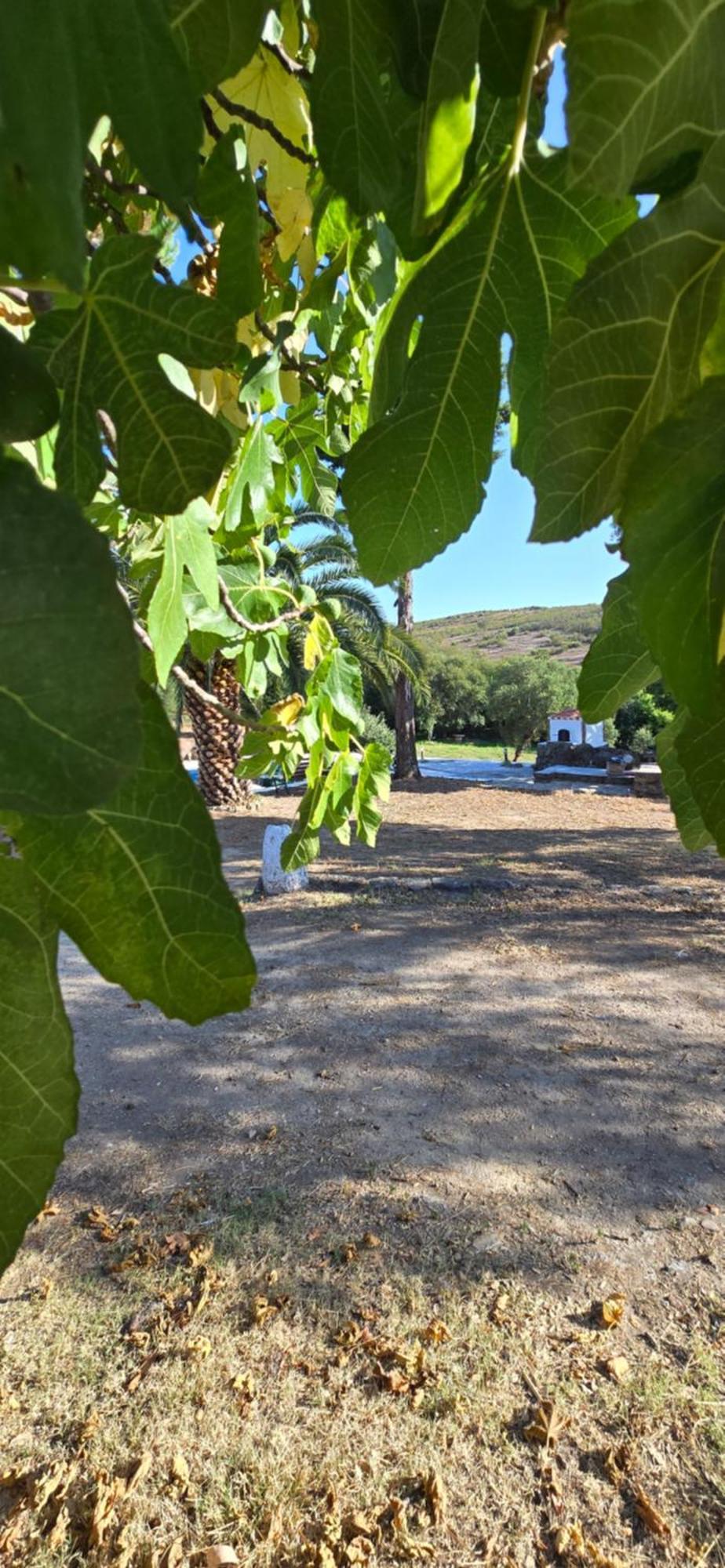 Quinta Da Utopia Country house *