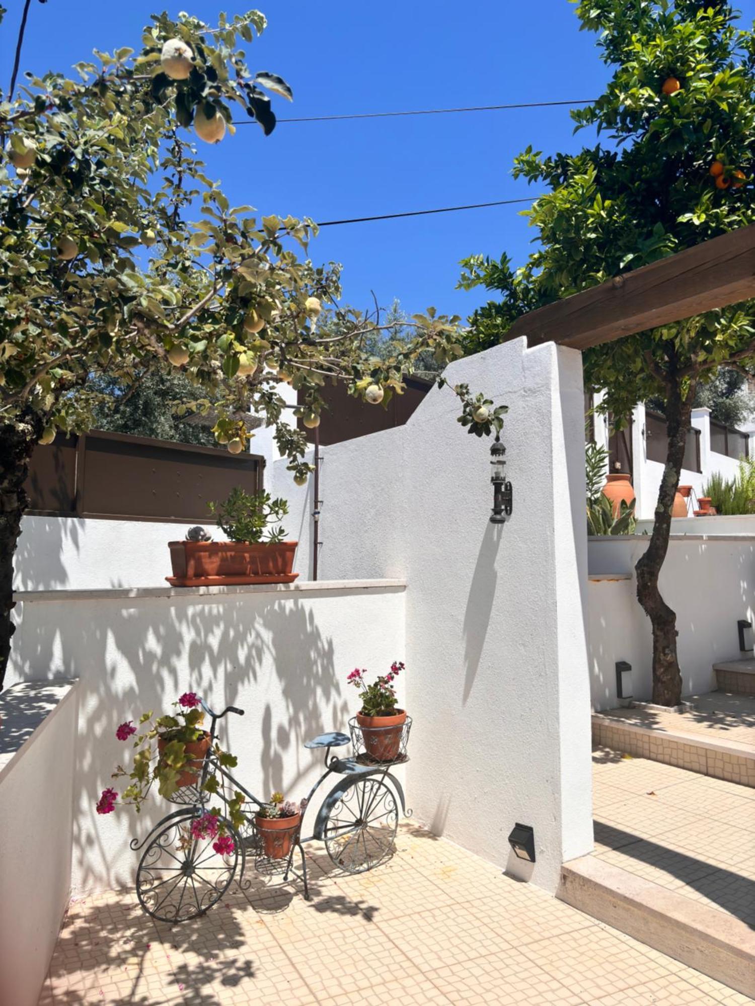 Bed & Breakfast Casa Da Oliveira