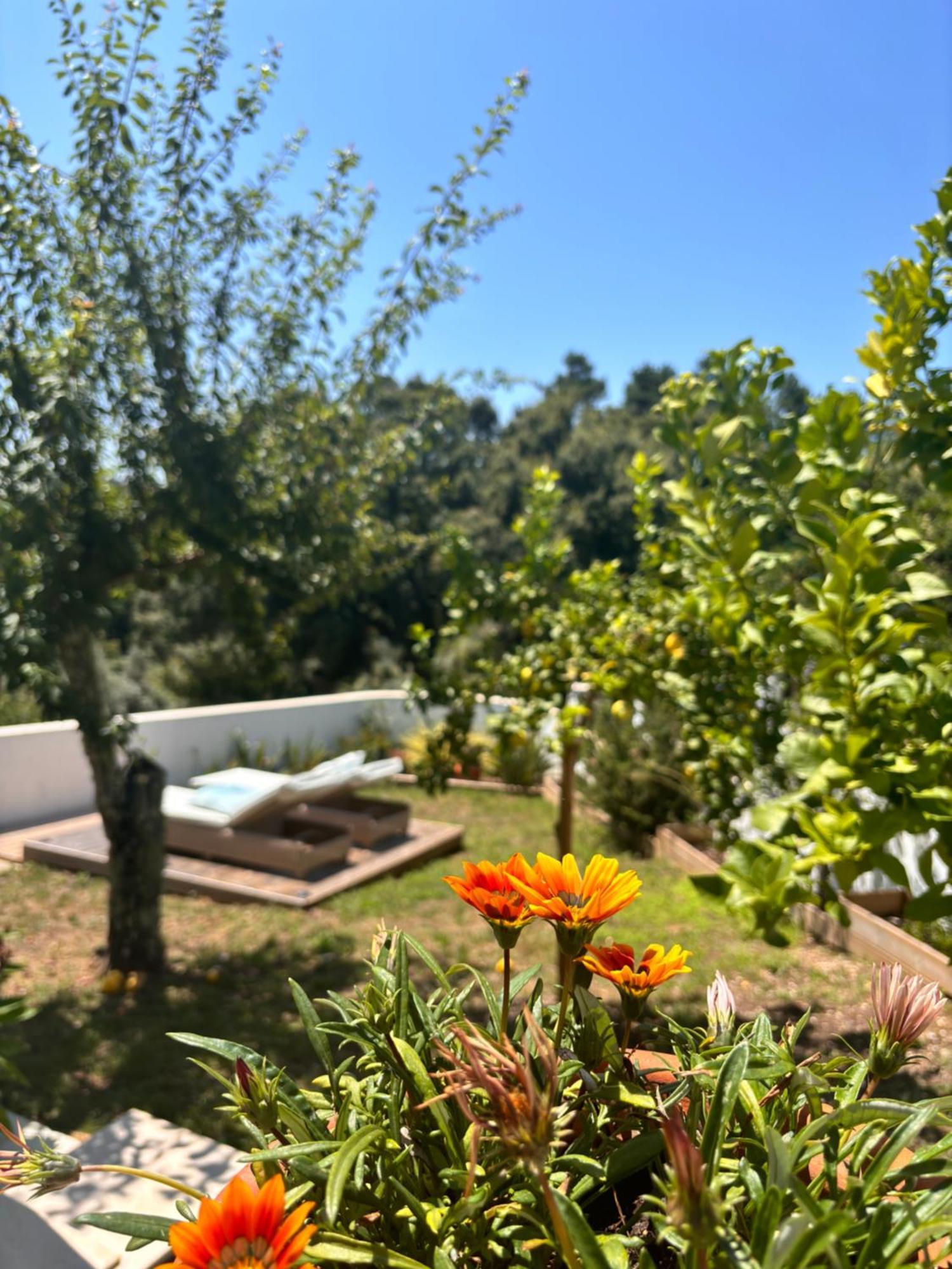 Bed & Breakfast Casa Da Oliveira *