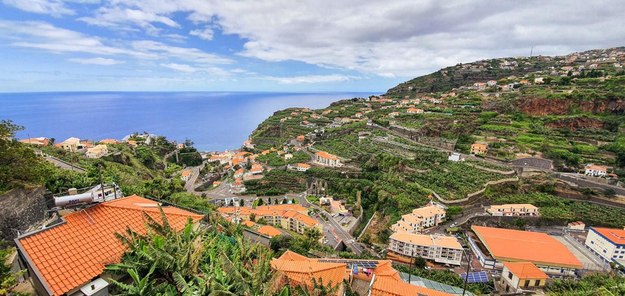Margarida Ponta do Sol (Madeira)