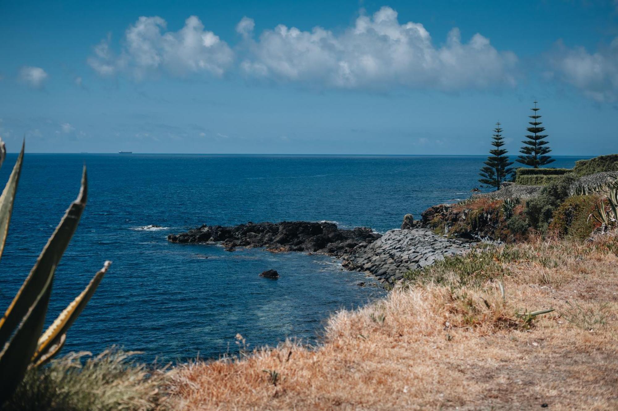 Sea & Rocks 15 - House Lagoa (Azores)