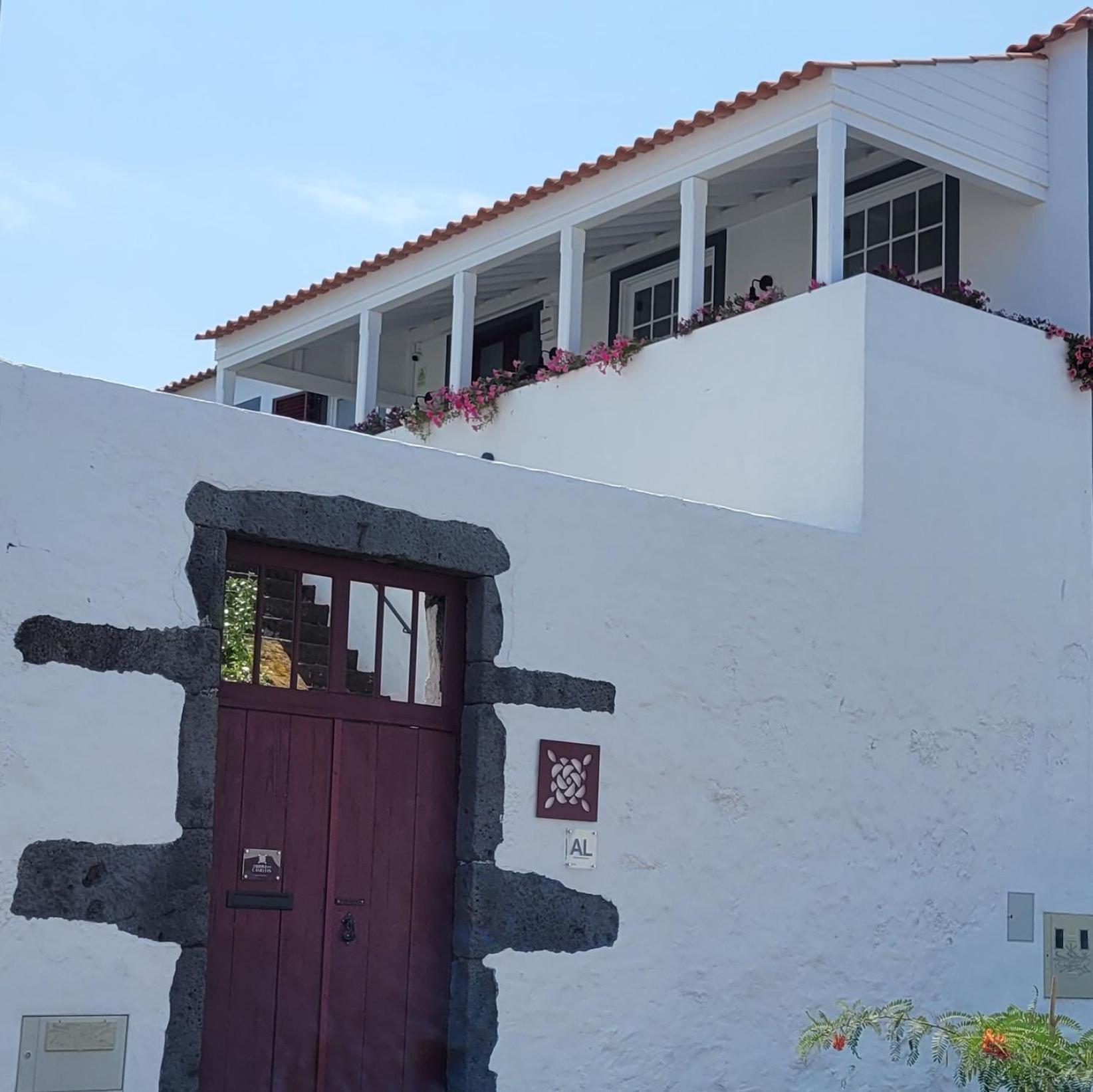 Jardim Camelias Madalena (Azores)